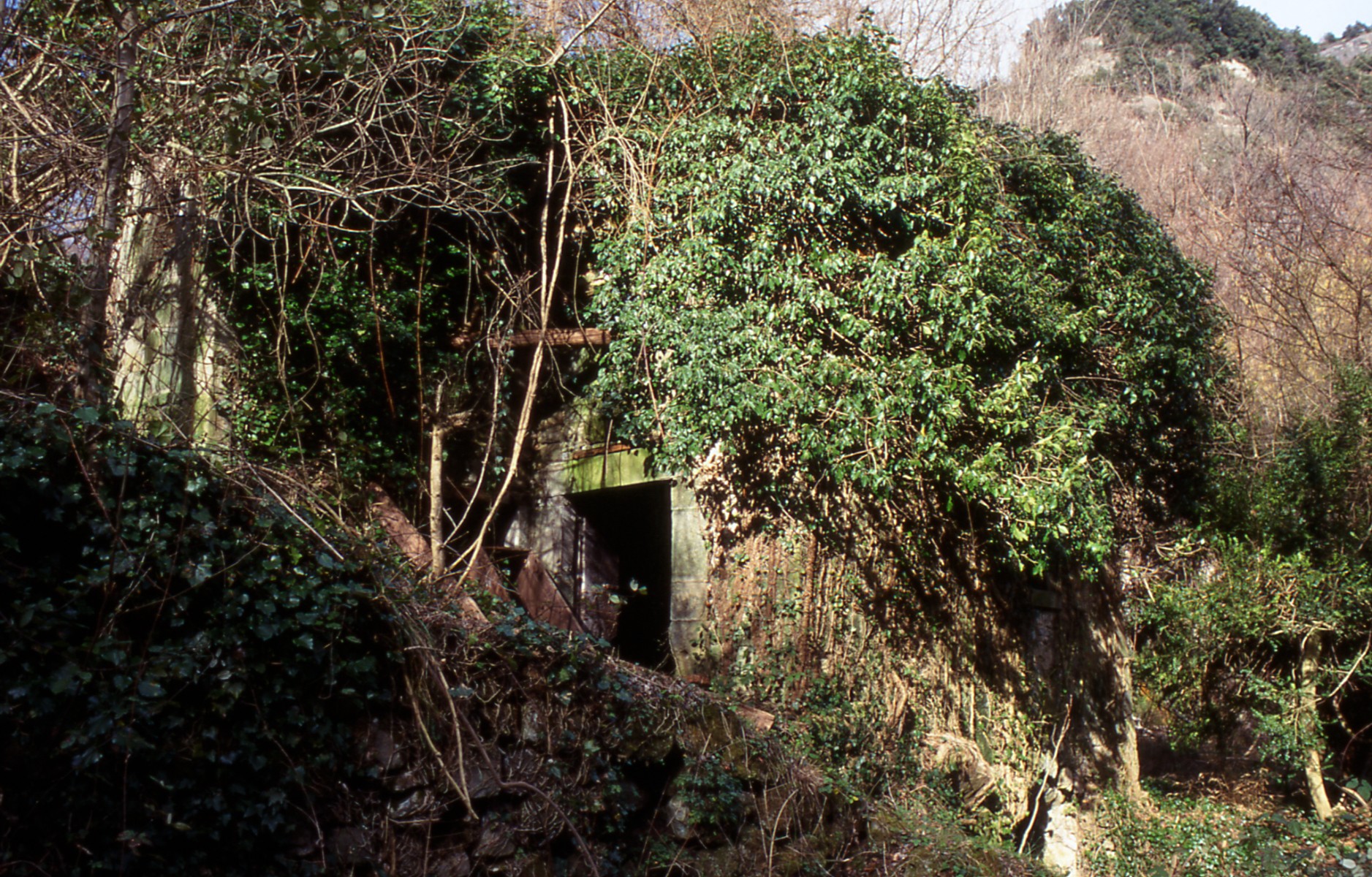 Mulino di Falciano