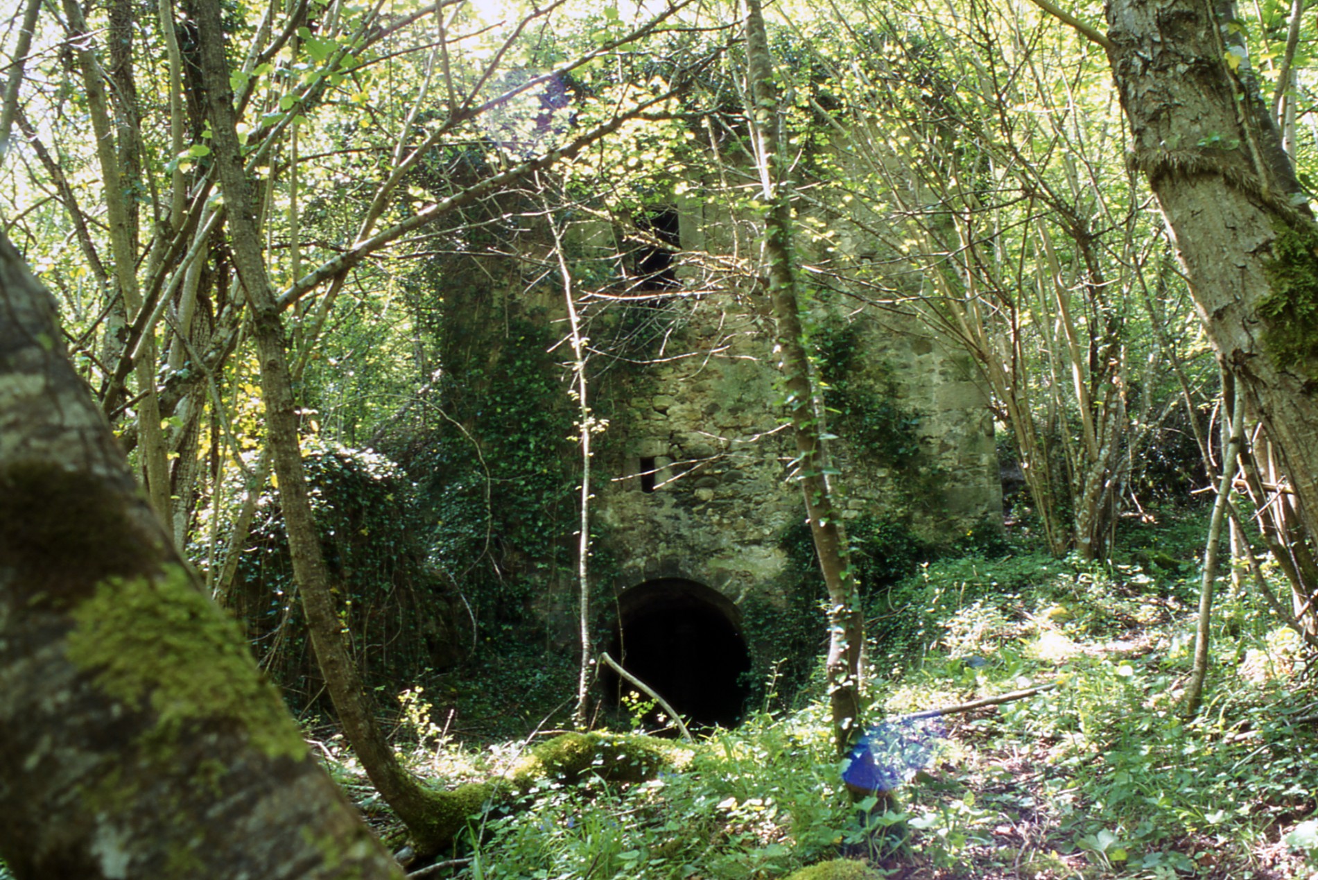 Mulino di Gaglierto