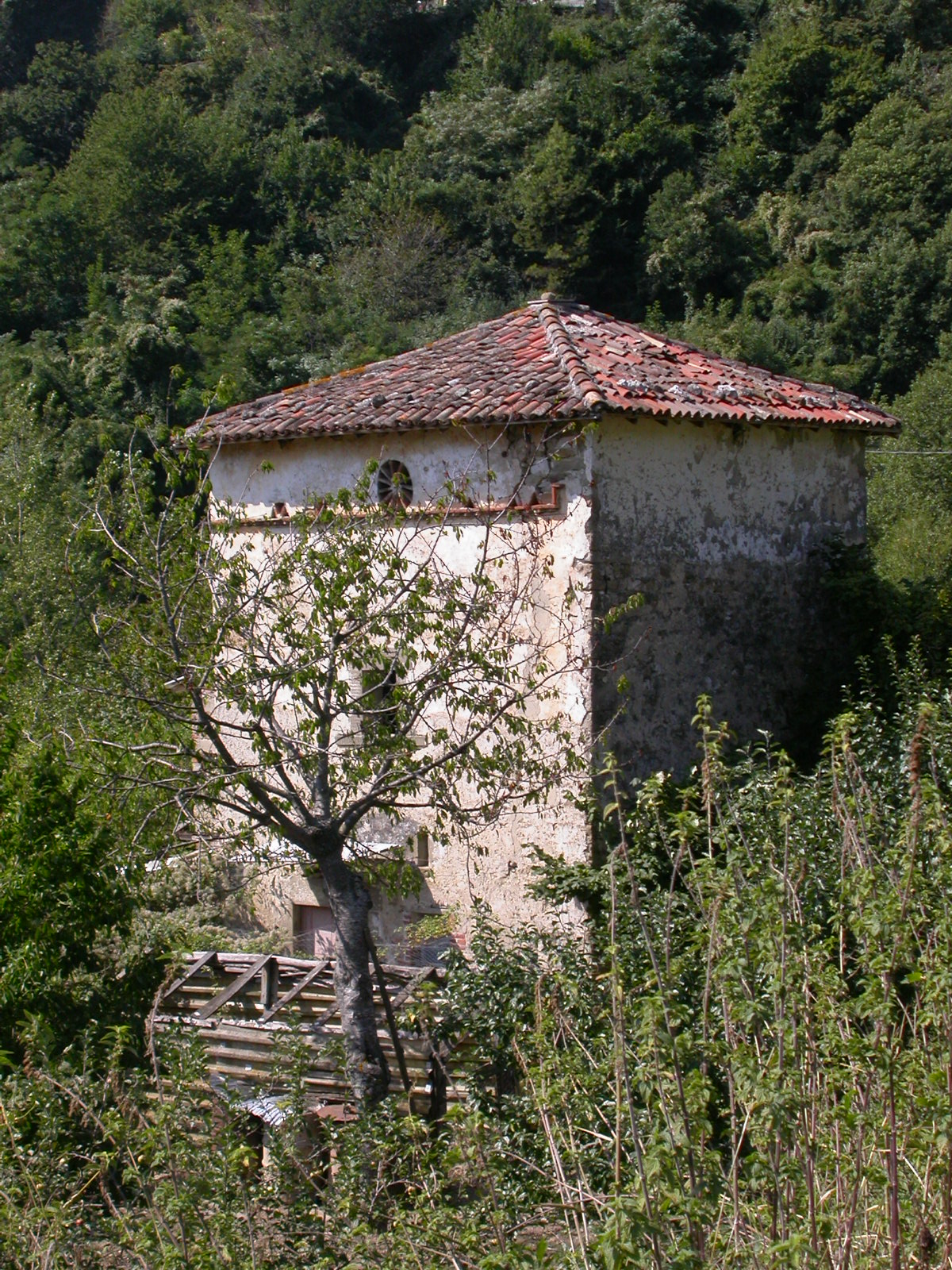 Casa-torre
