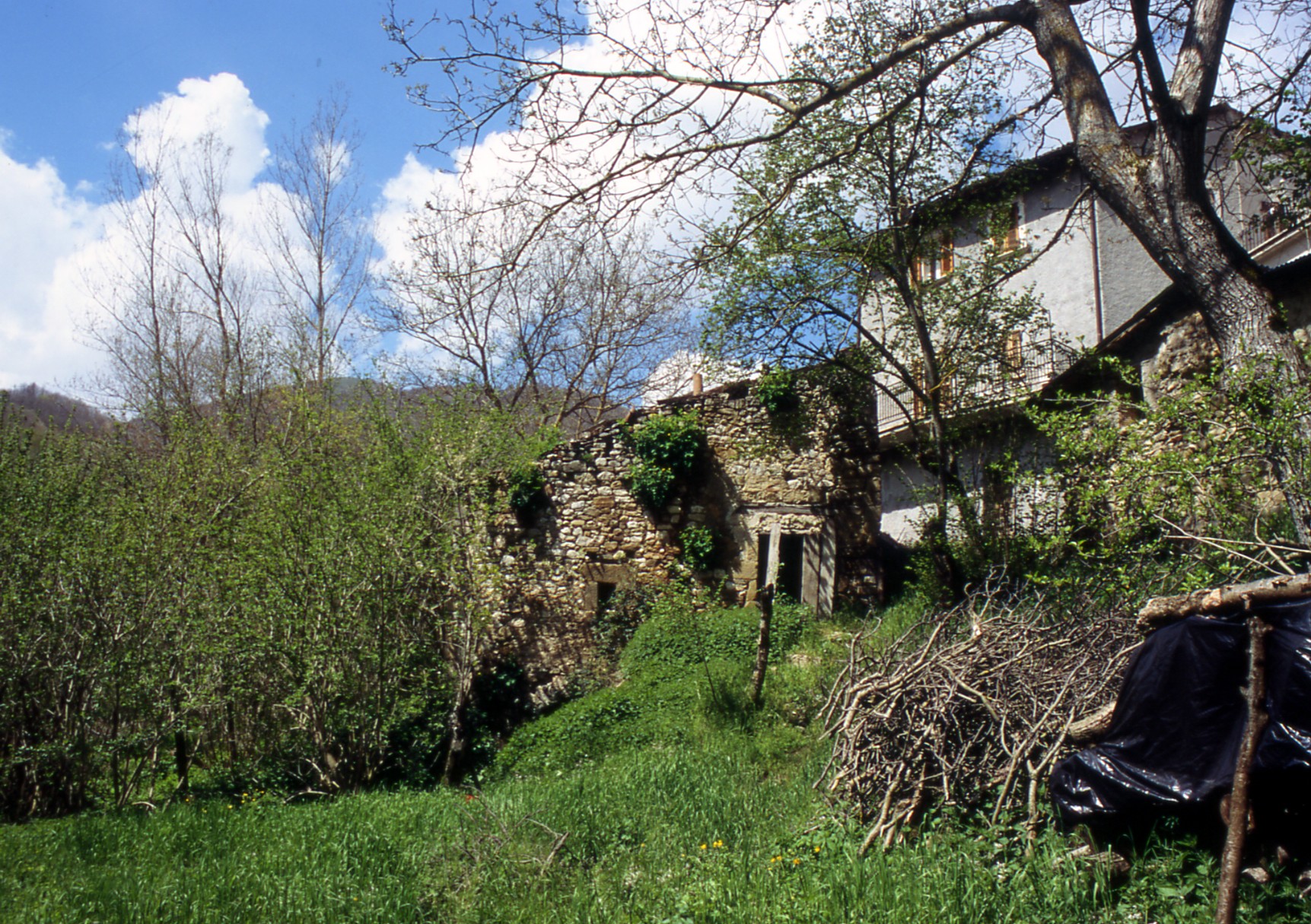 Mulino Nobili
