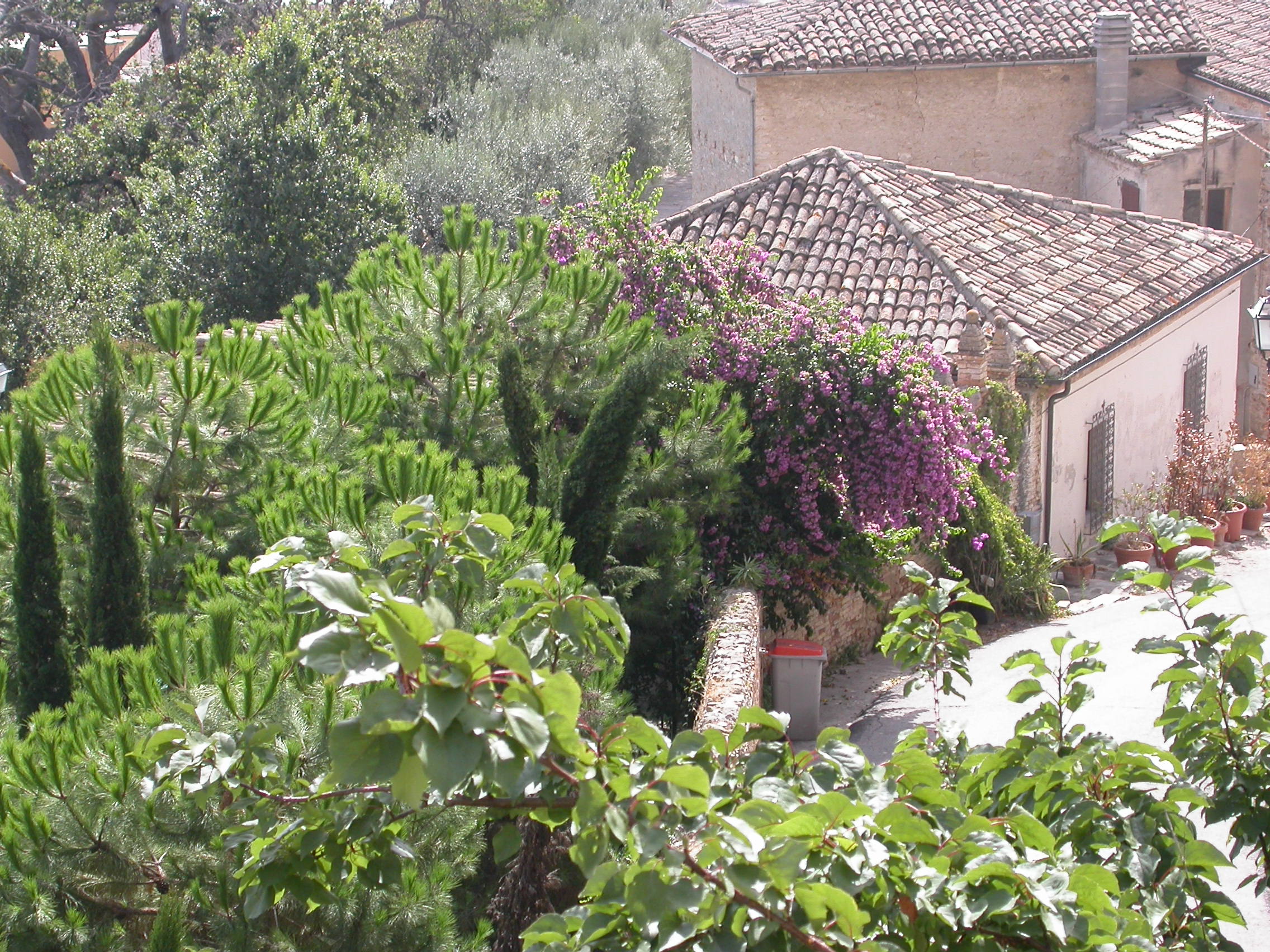 Casa Troli