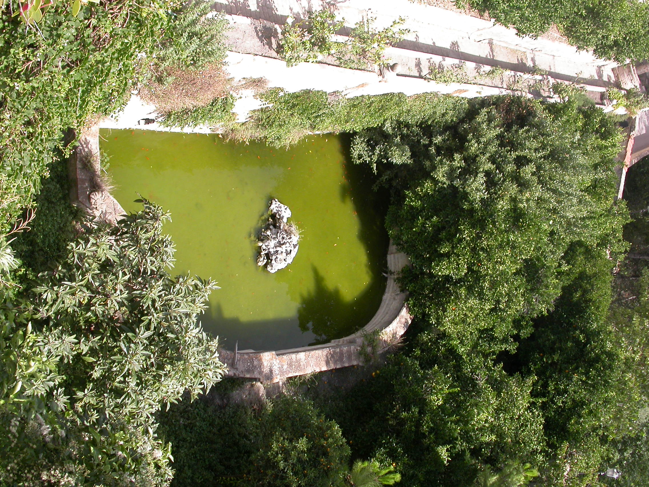 Vasca