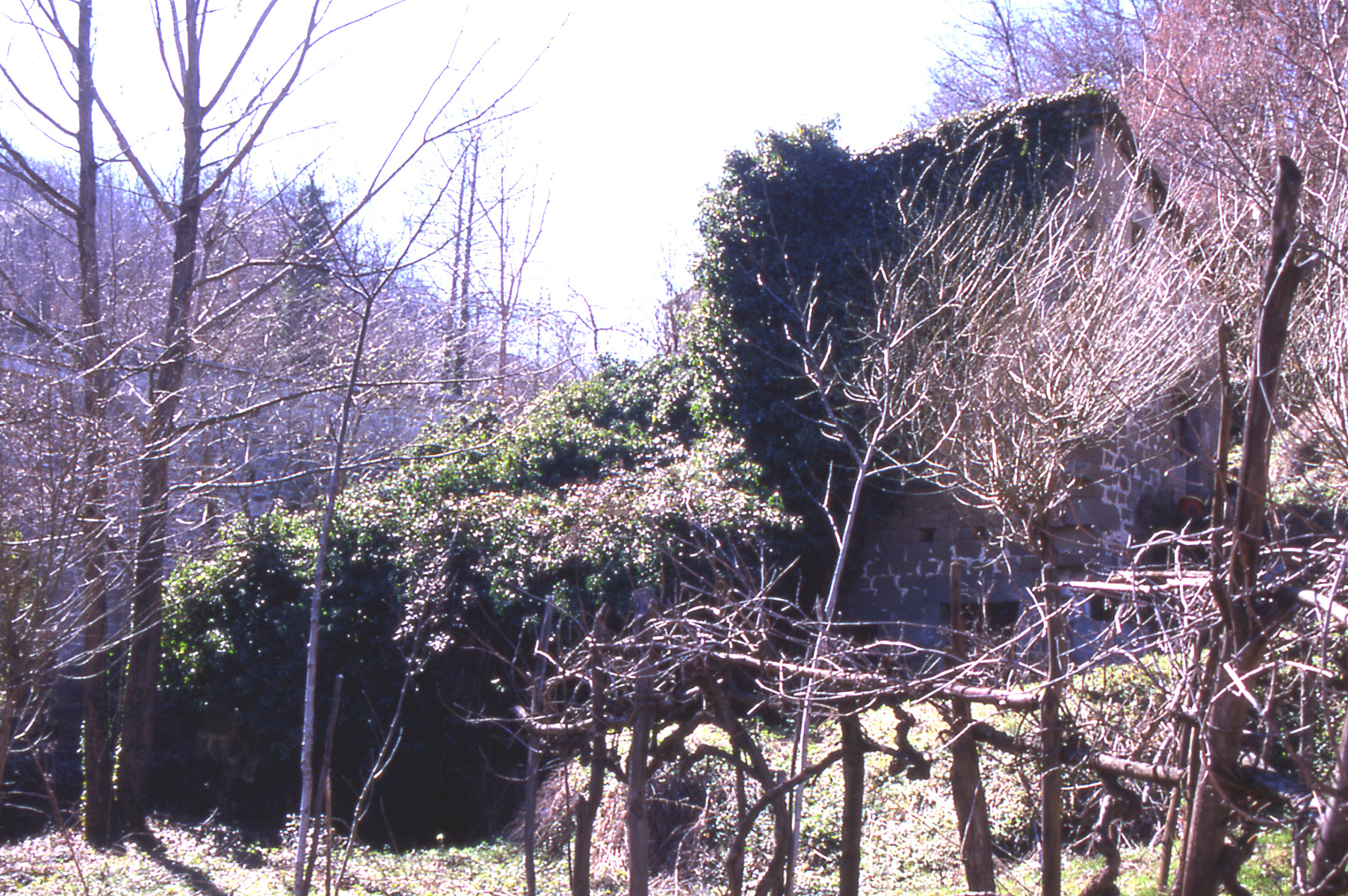 Mulino di Collicello