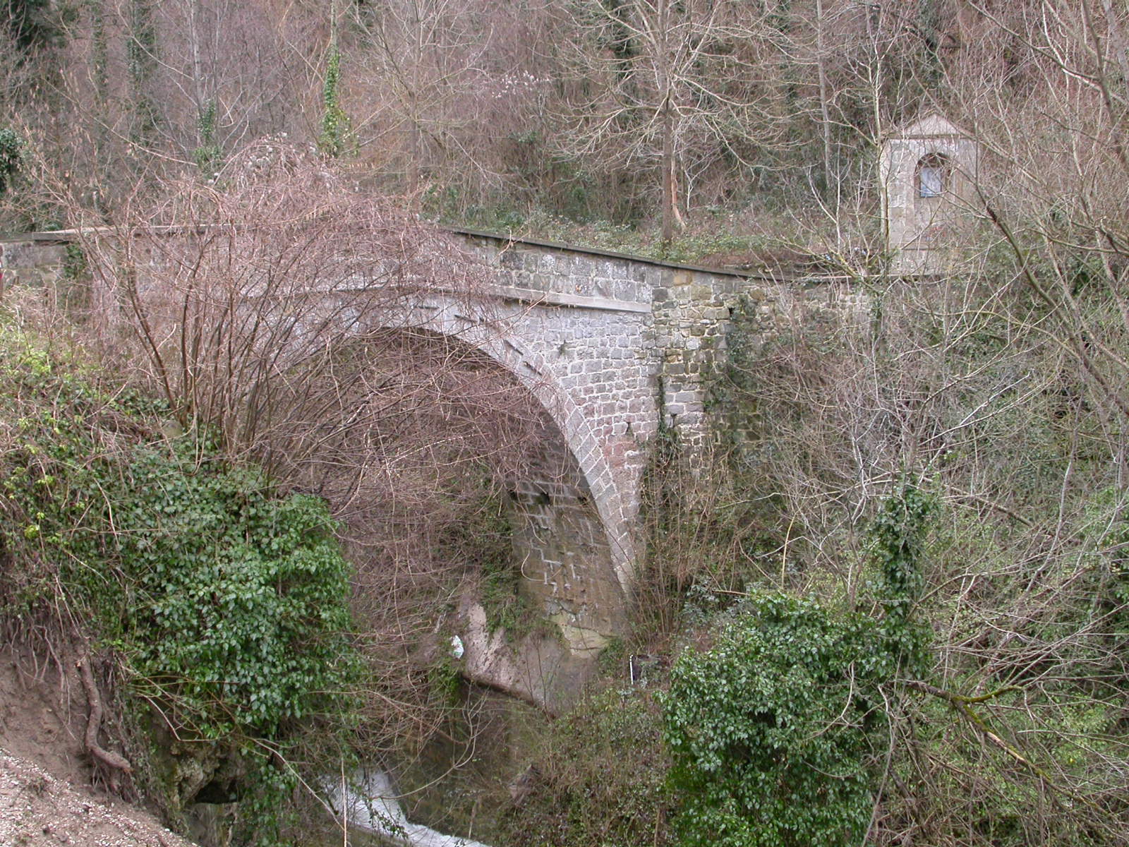 Ponte