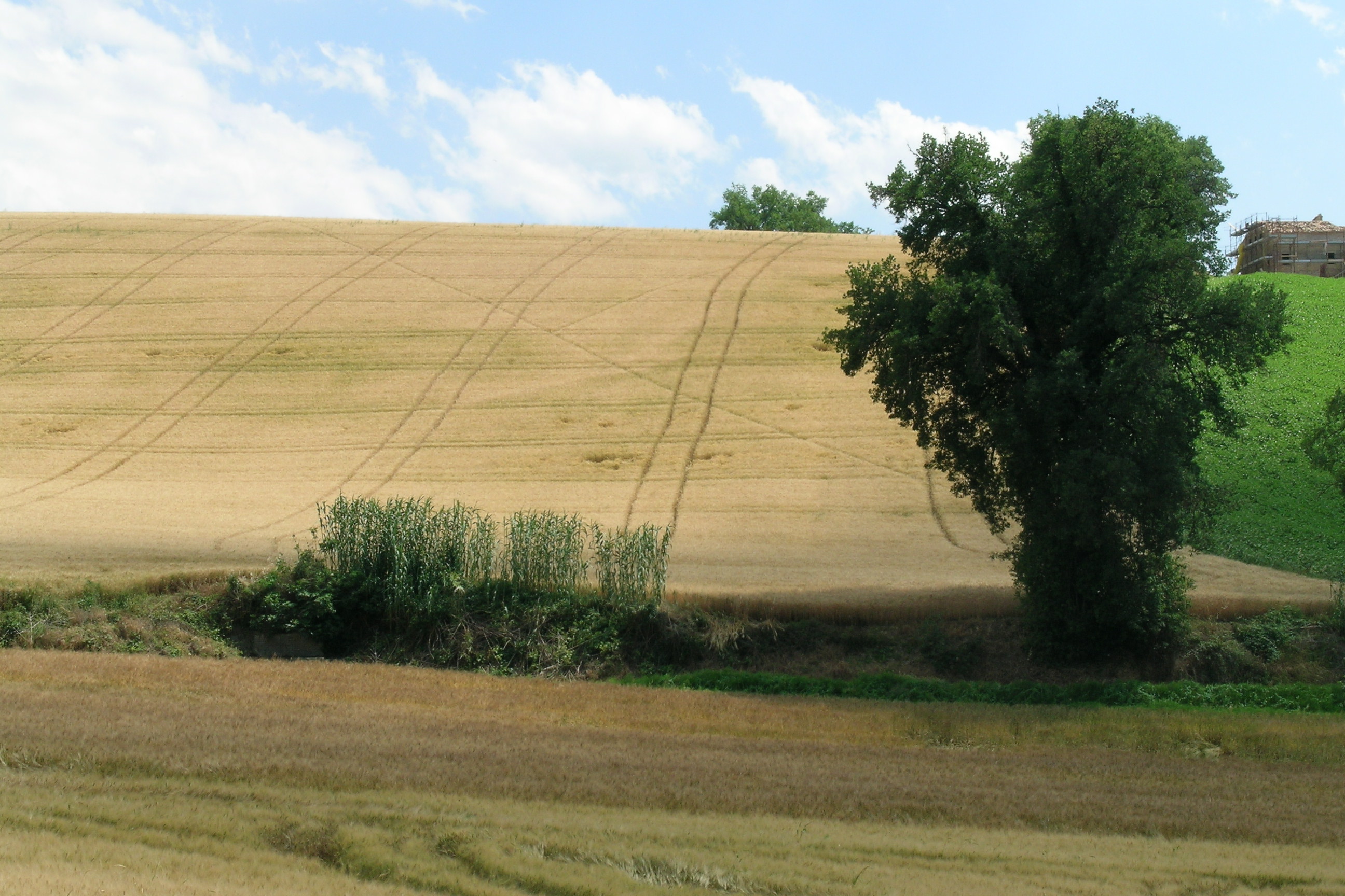 Fonte Barocco