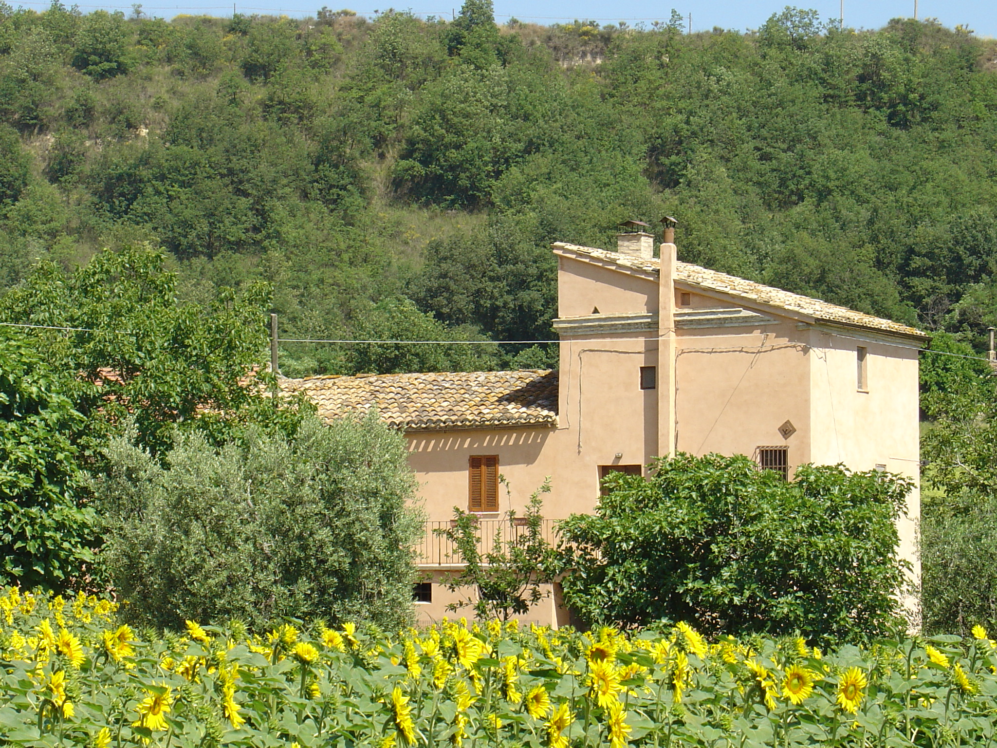 Casa con palombara