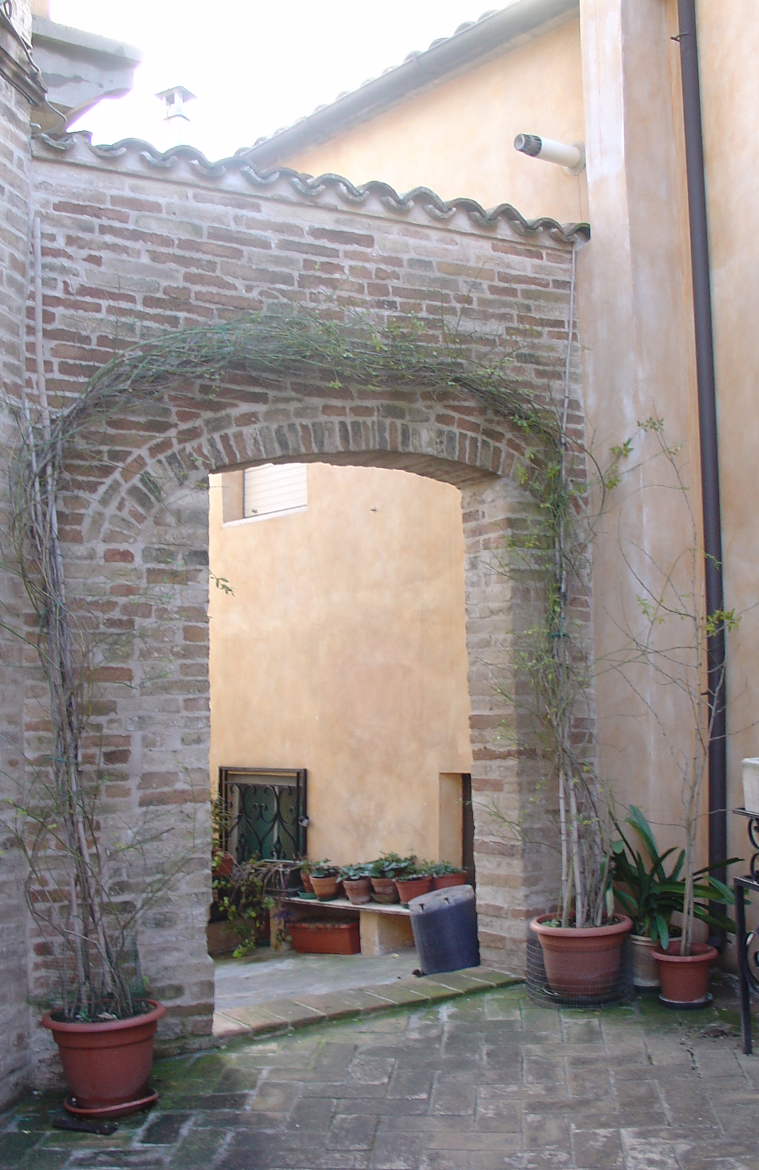 Arco