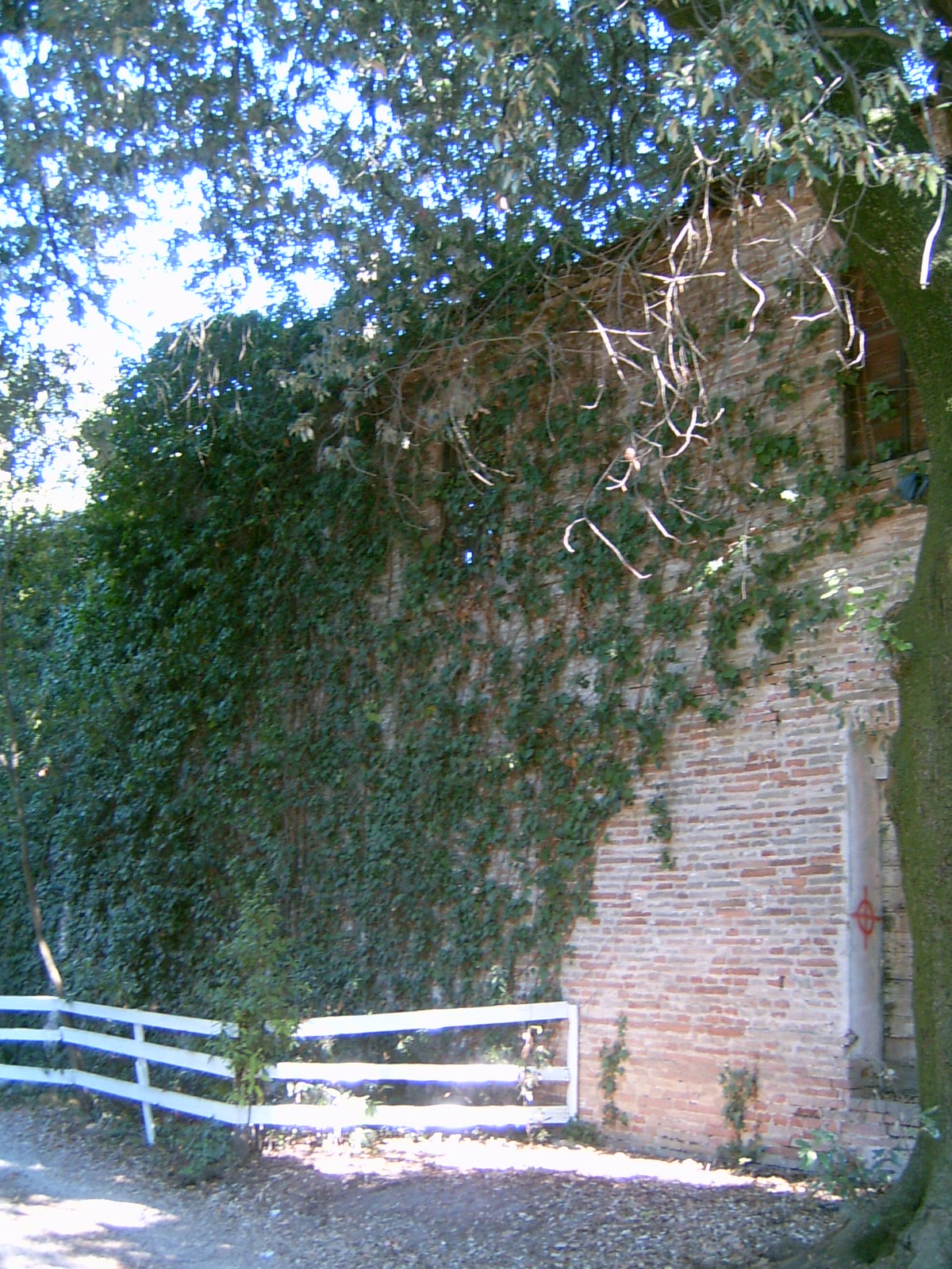 Annesso della Pia Casa Ferruccio Falconi