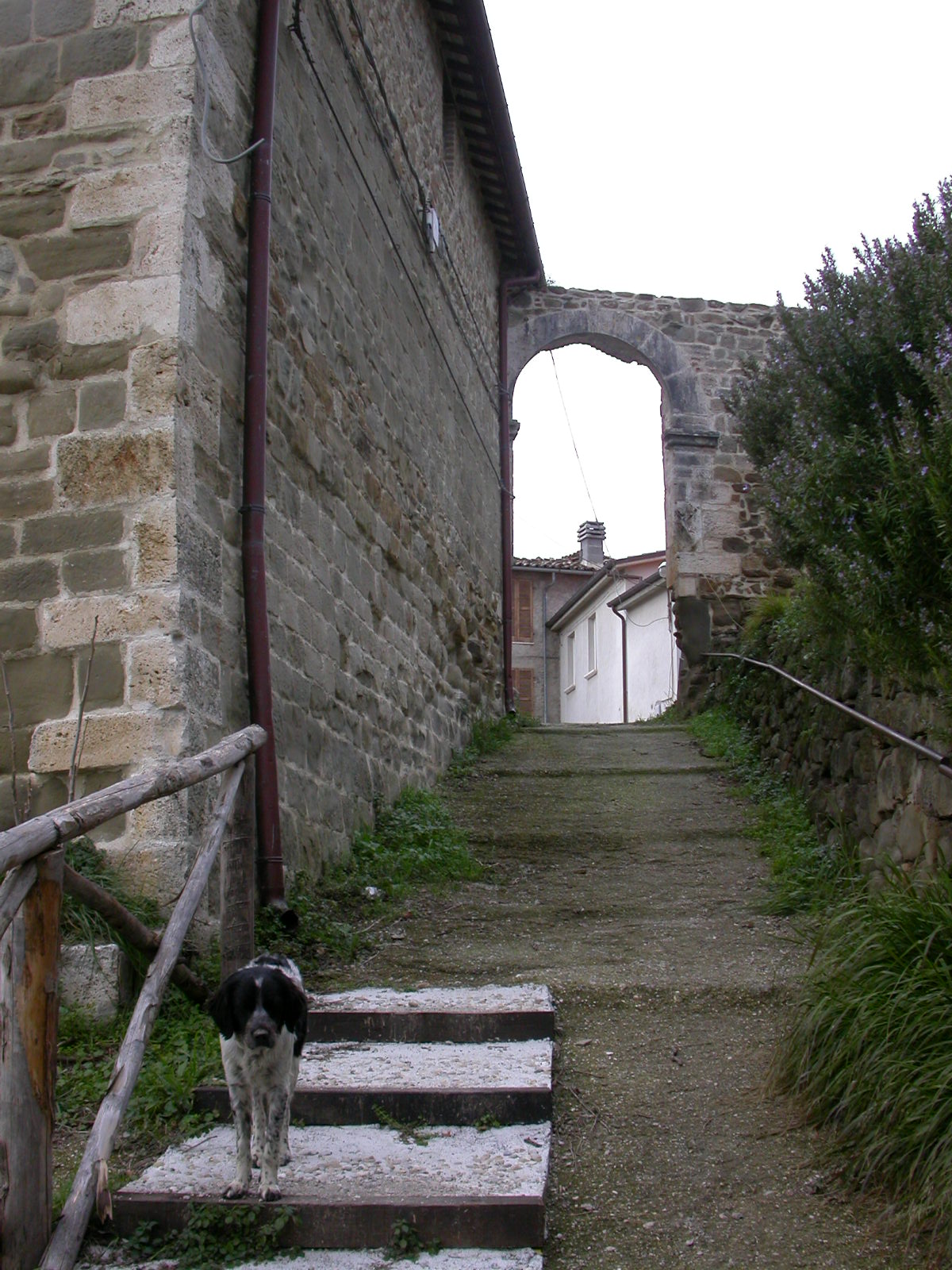 Porta urbica