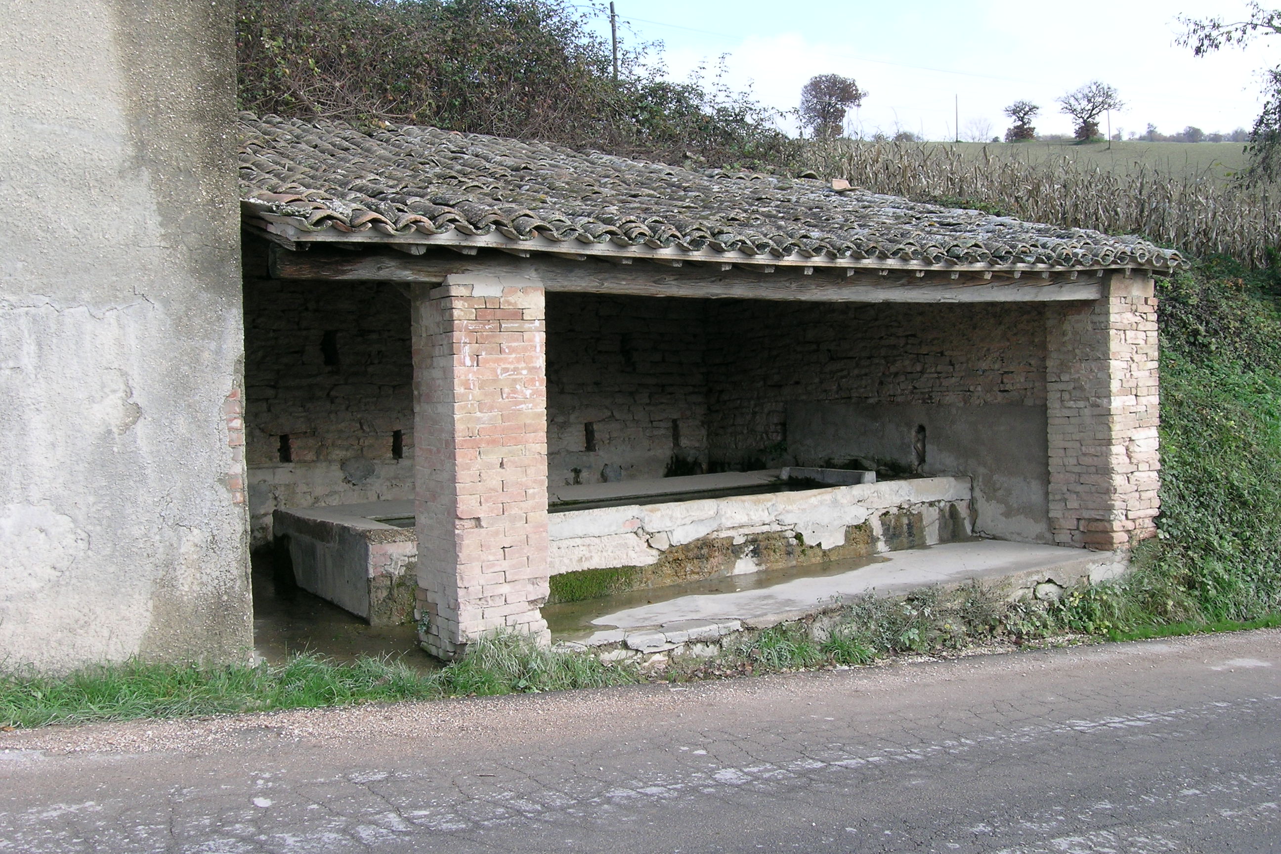 Fonte Asinina
