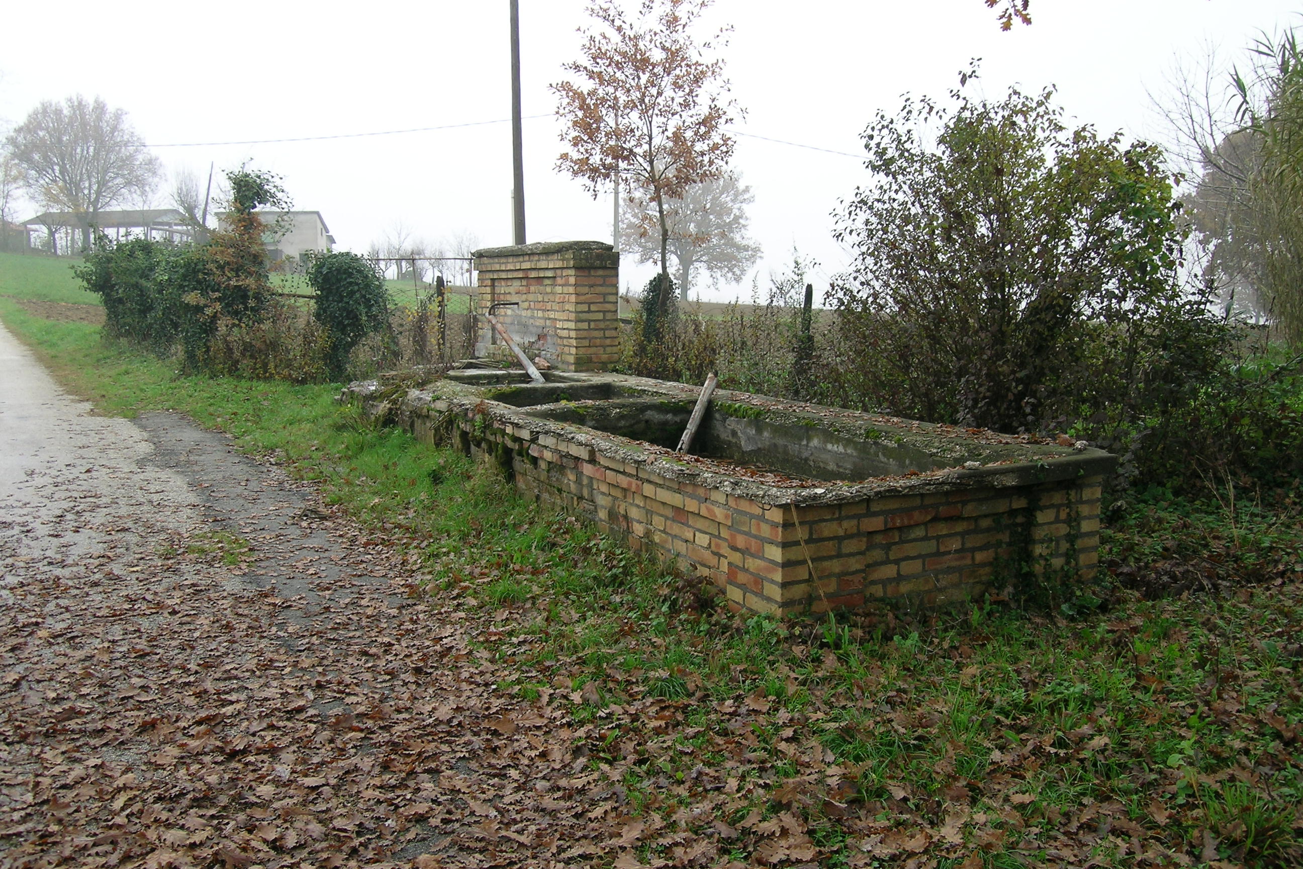 Fonte pubblica