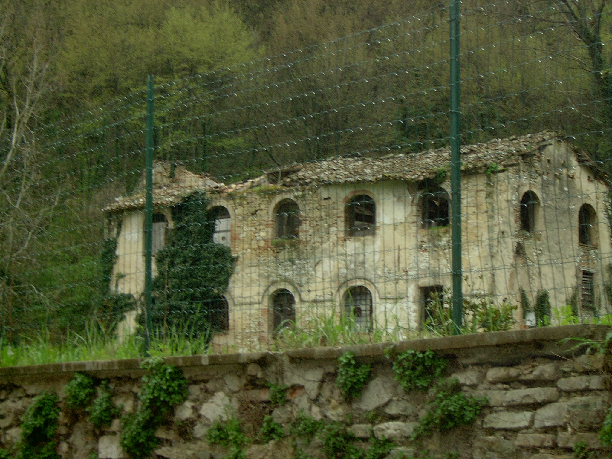 Cartiera Vitali