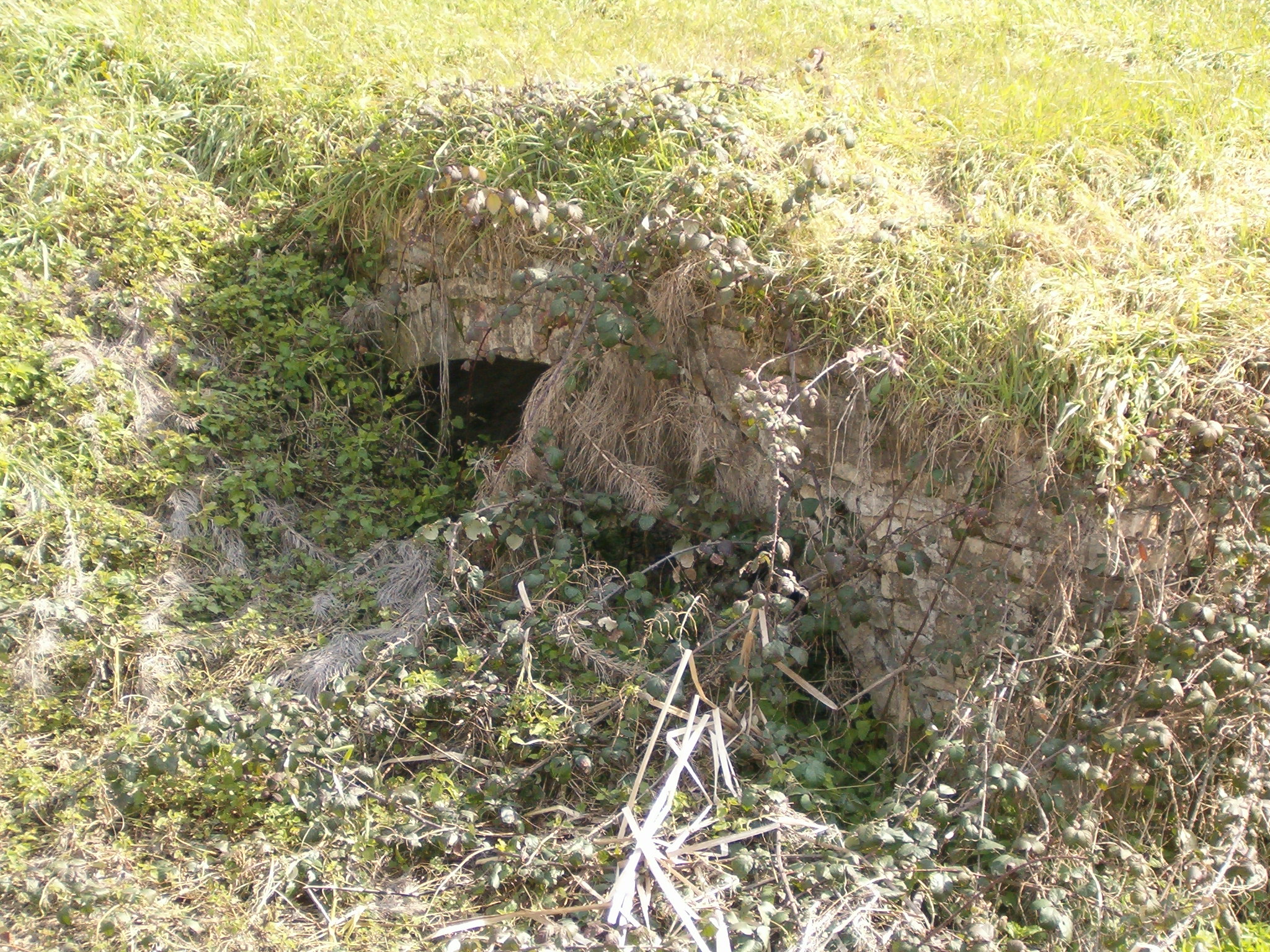 Fonte Torciano