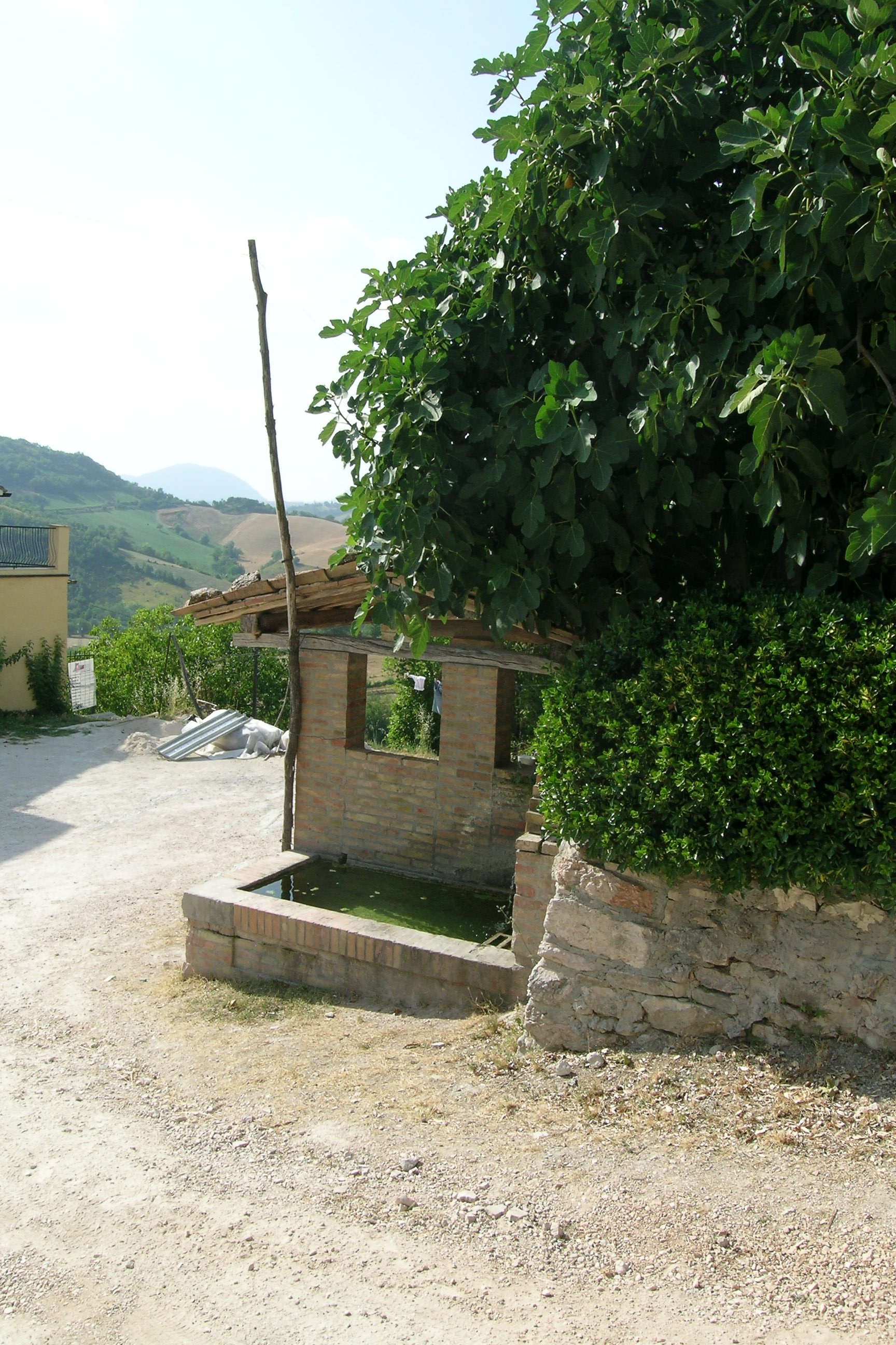 Fontana pubblica