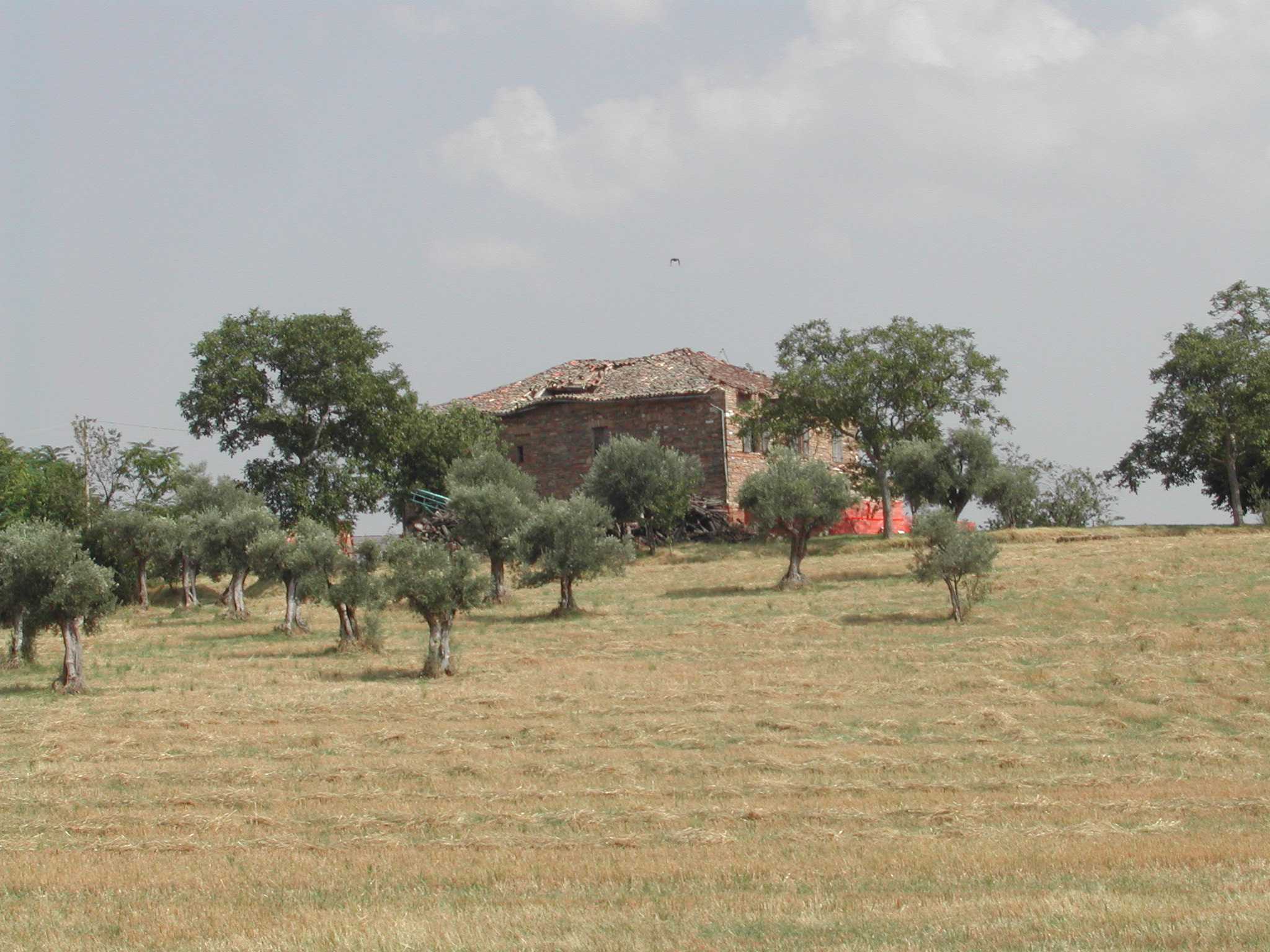 Casa padronale