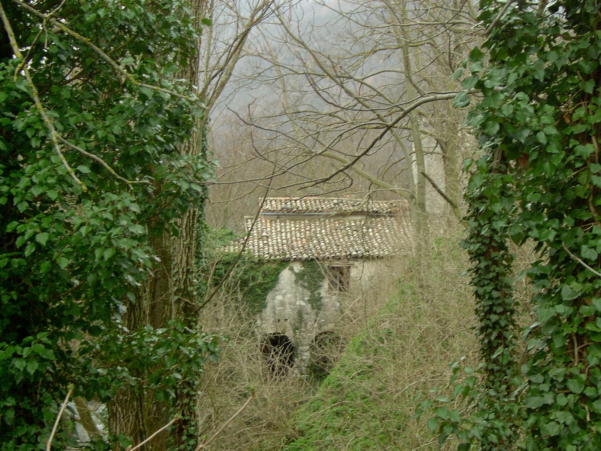 Mulino