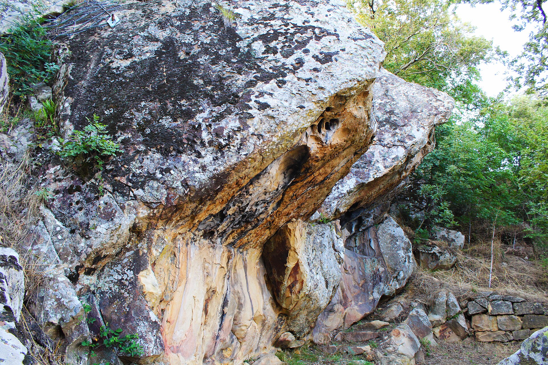 Tuppo dei sassi