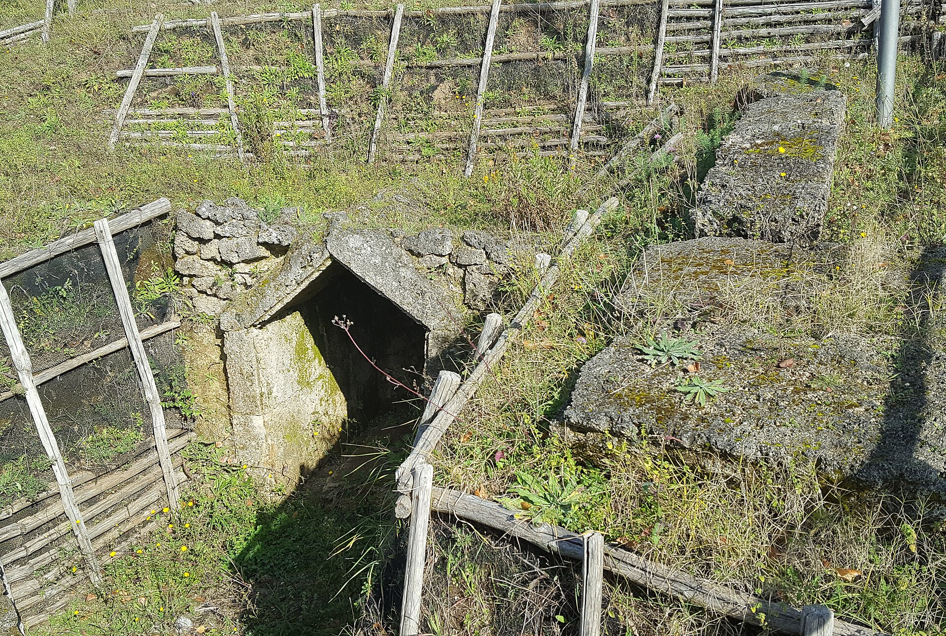 Area archeologica di Carife