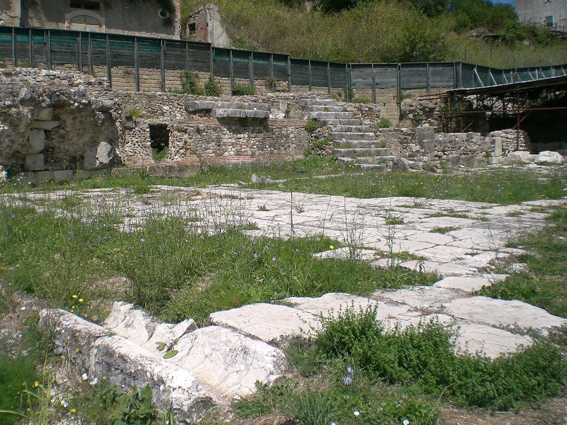 Compsa