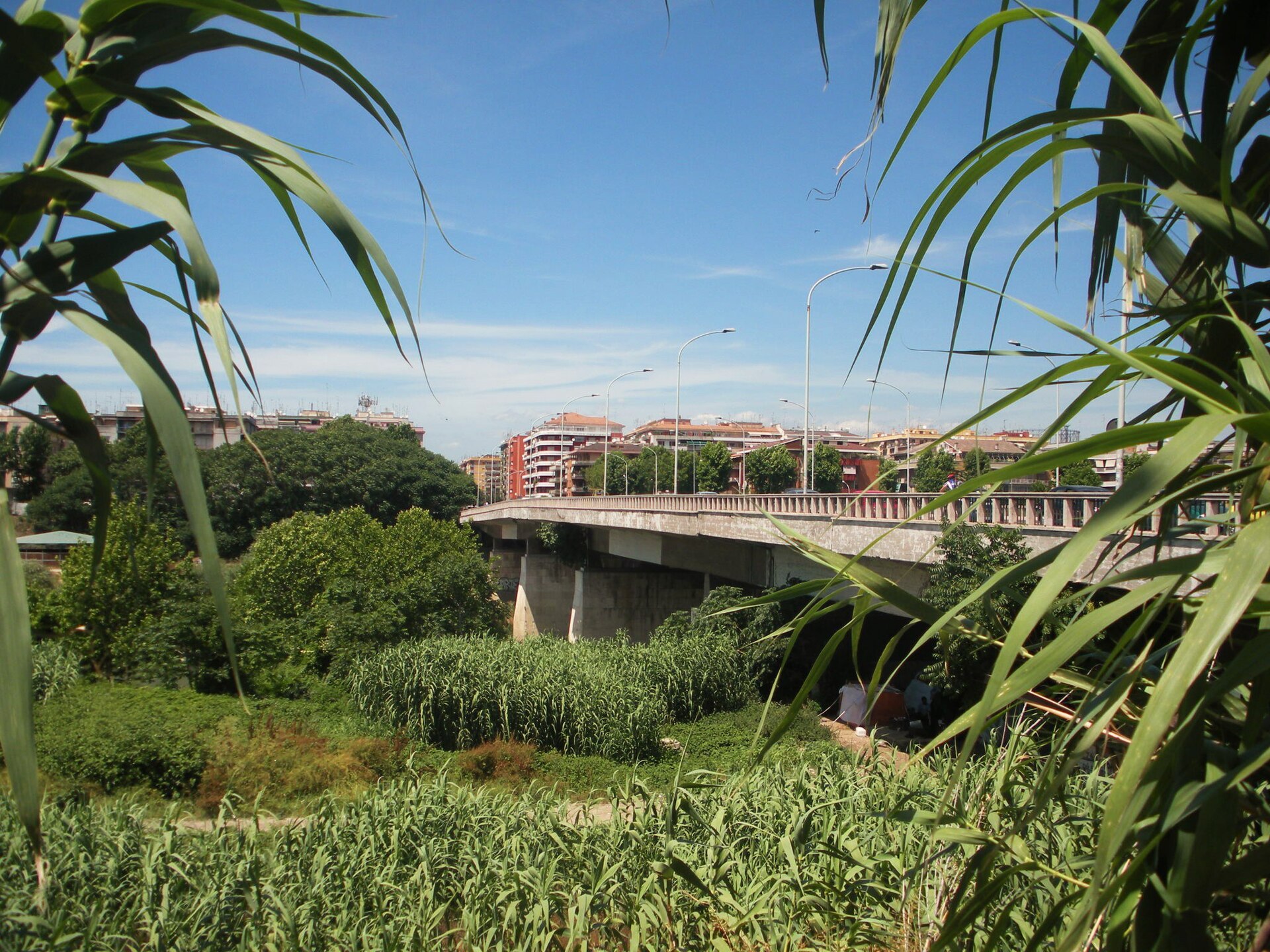 ponte Guglielmo Marconi