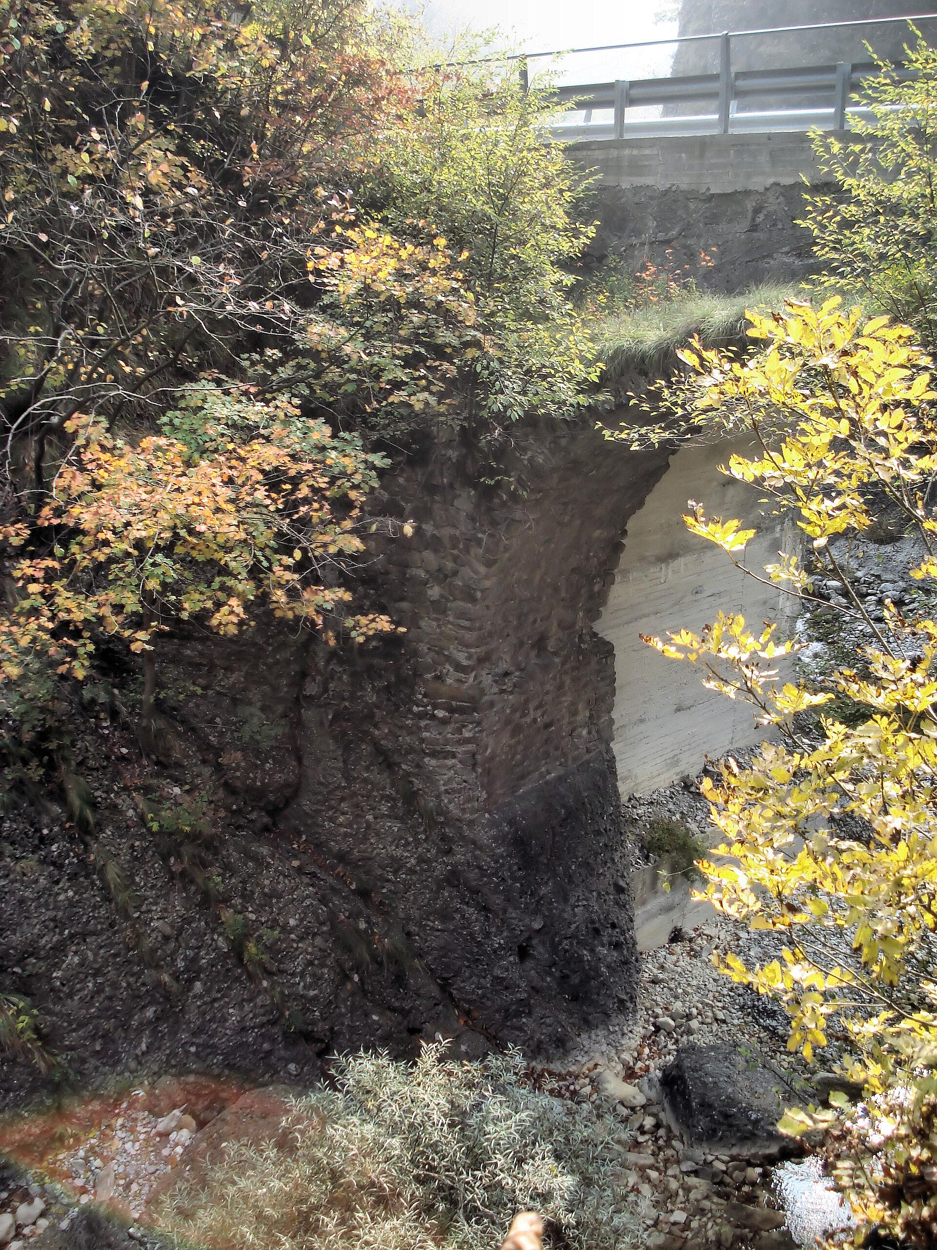 Ponte di Zan