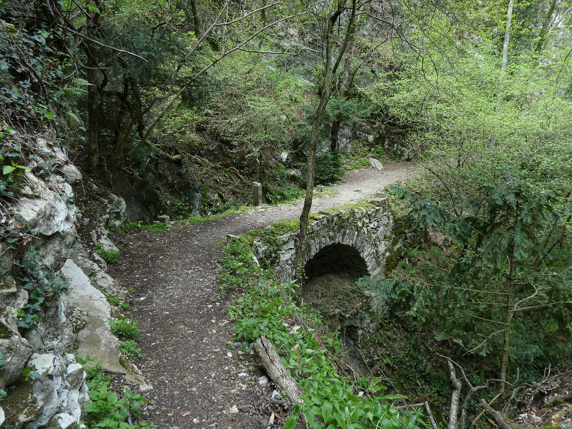 Pontesel