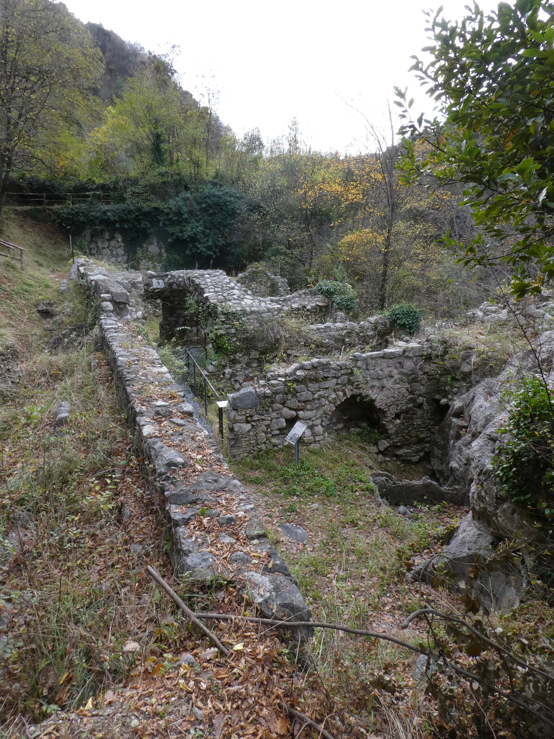 cartiera di Gatto