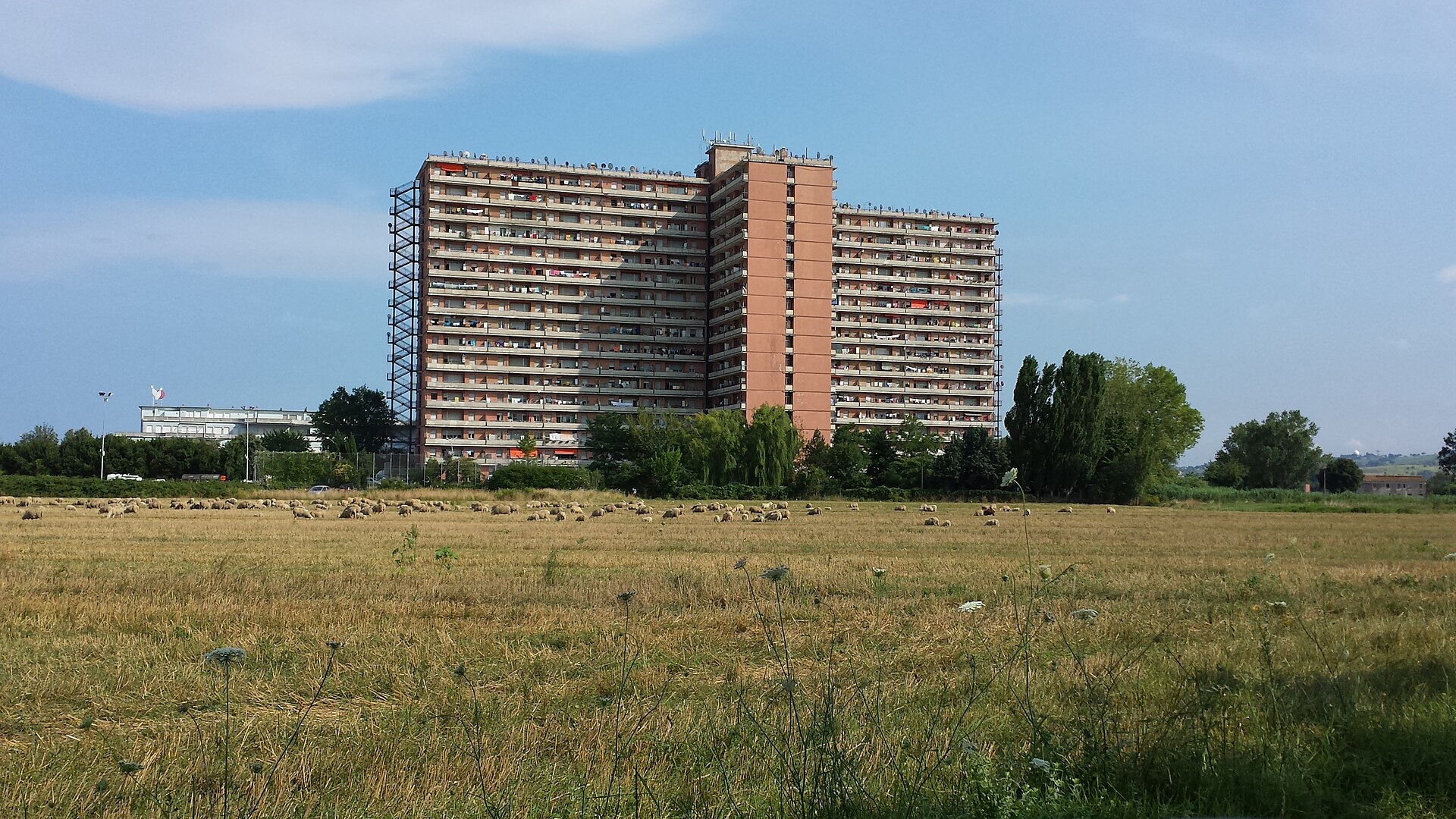 Hotel House