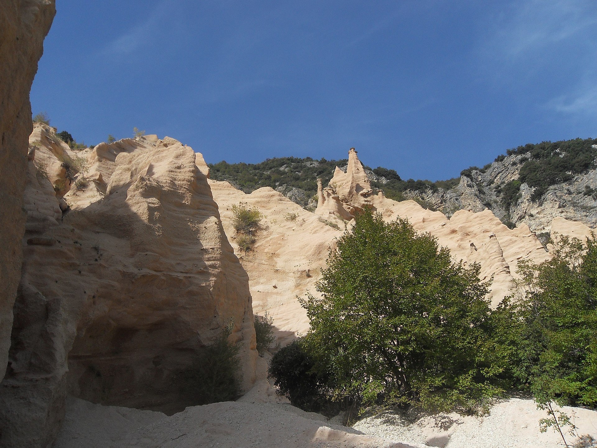 Lame Rosse