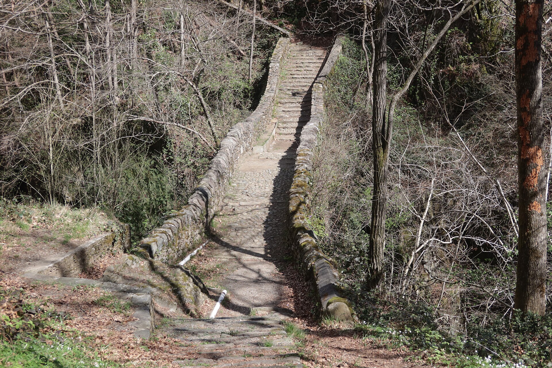 ponte romano
