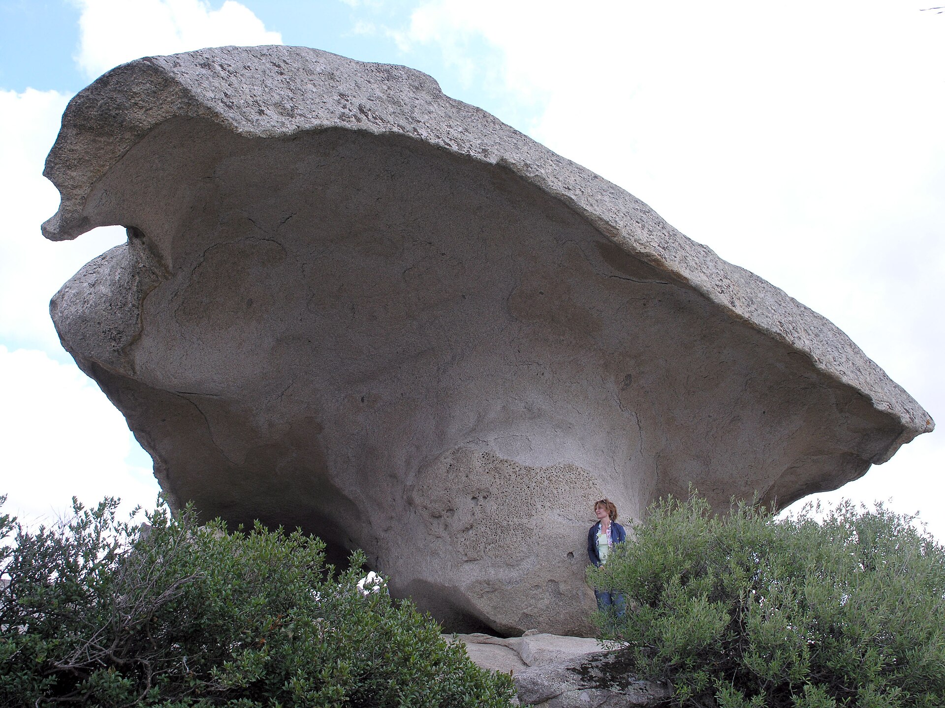 Roccia il fungo