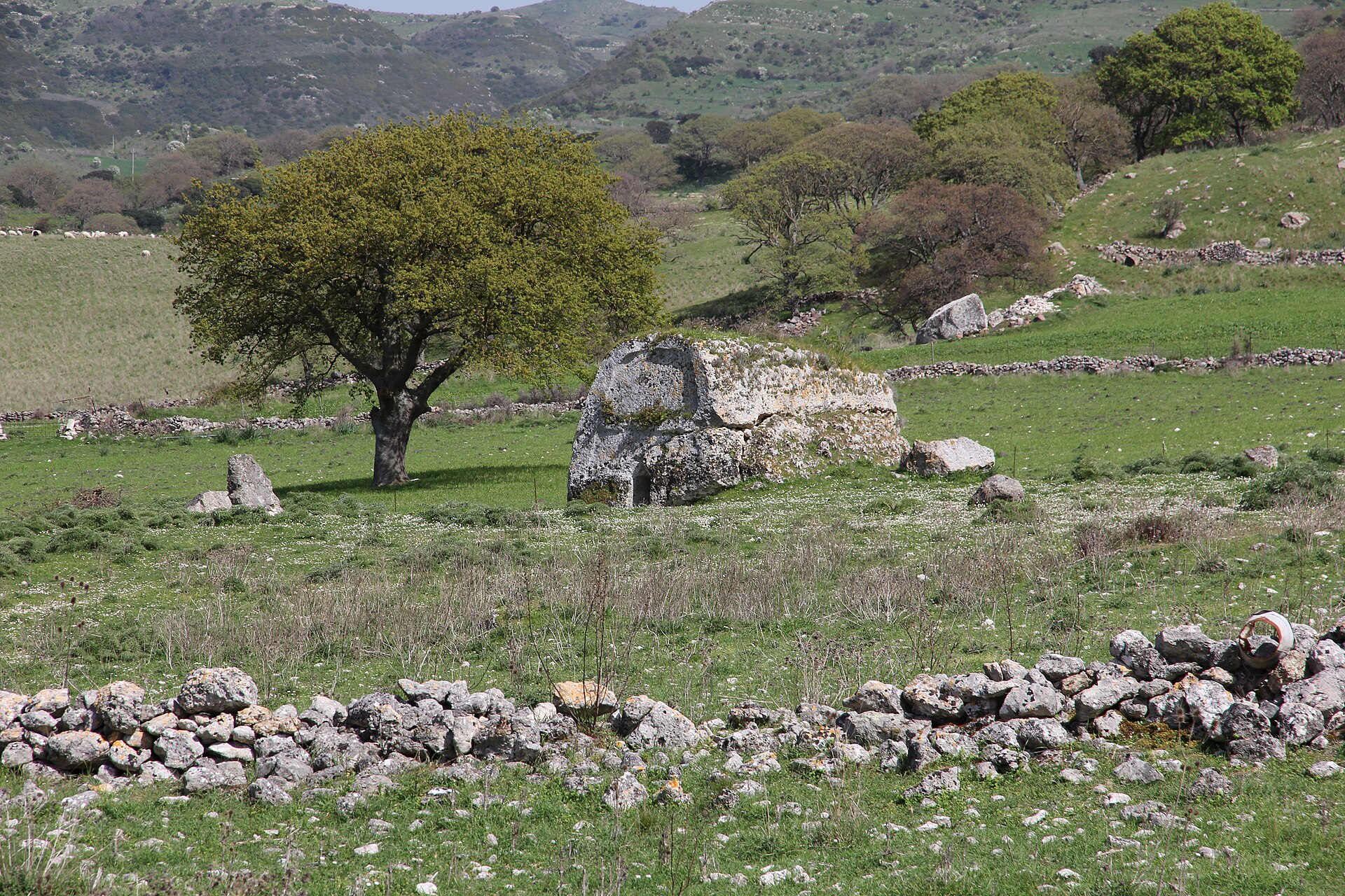 domus de janas Campu Lontanu
