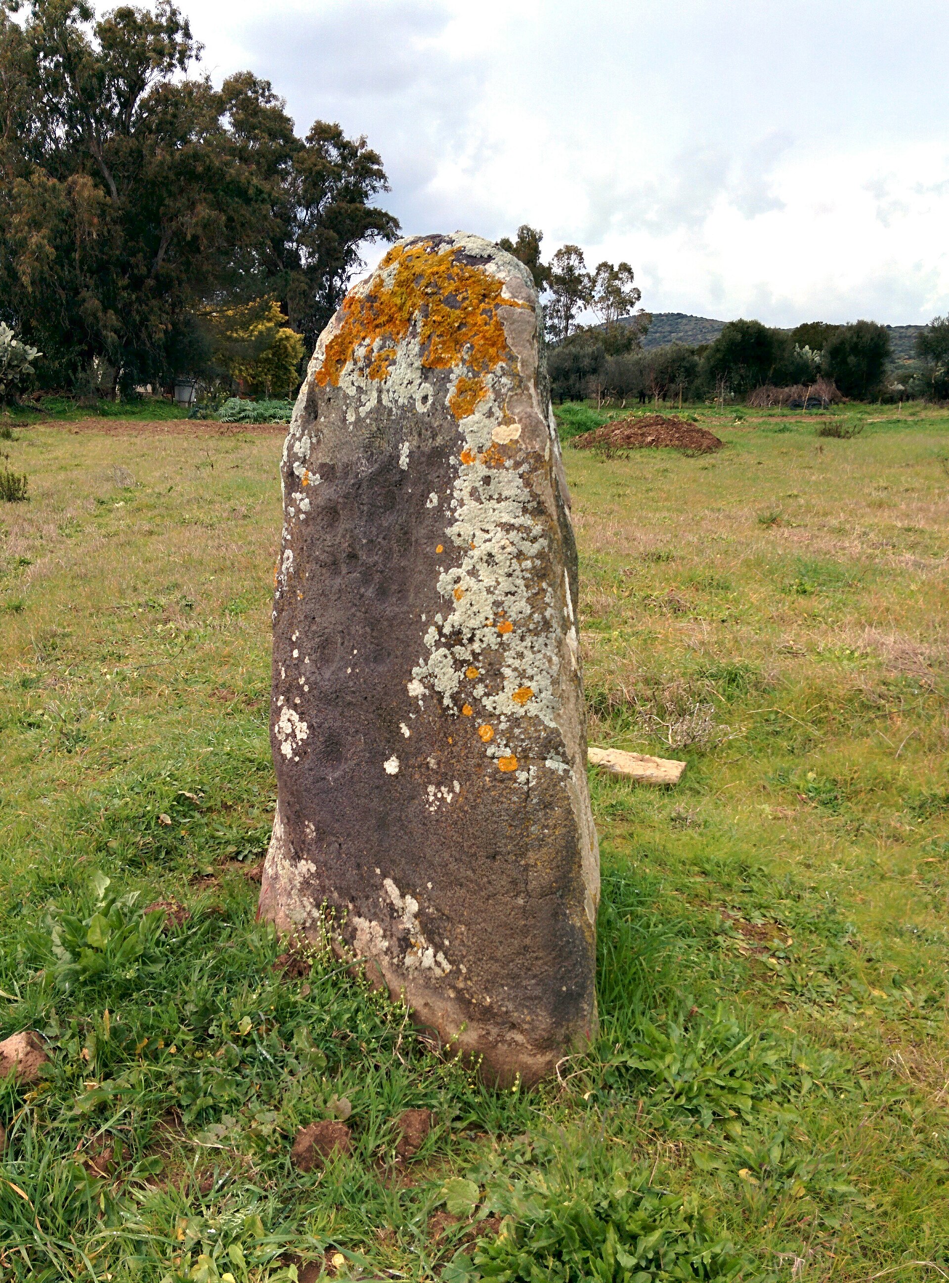 menhir di Genna Prunas