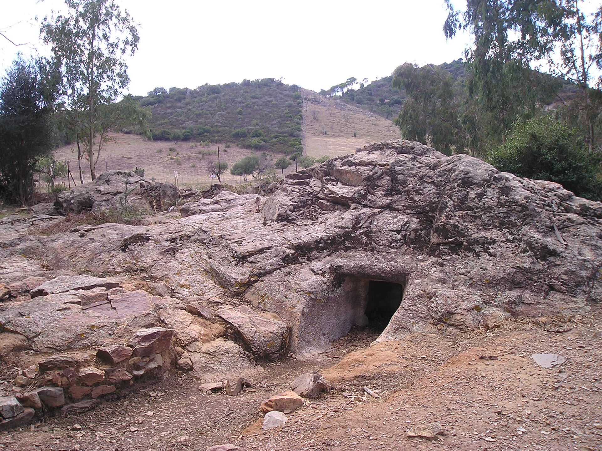 necropoli di Pranu Narbonis