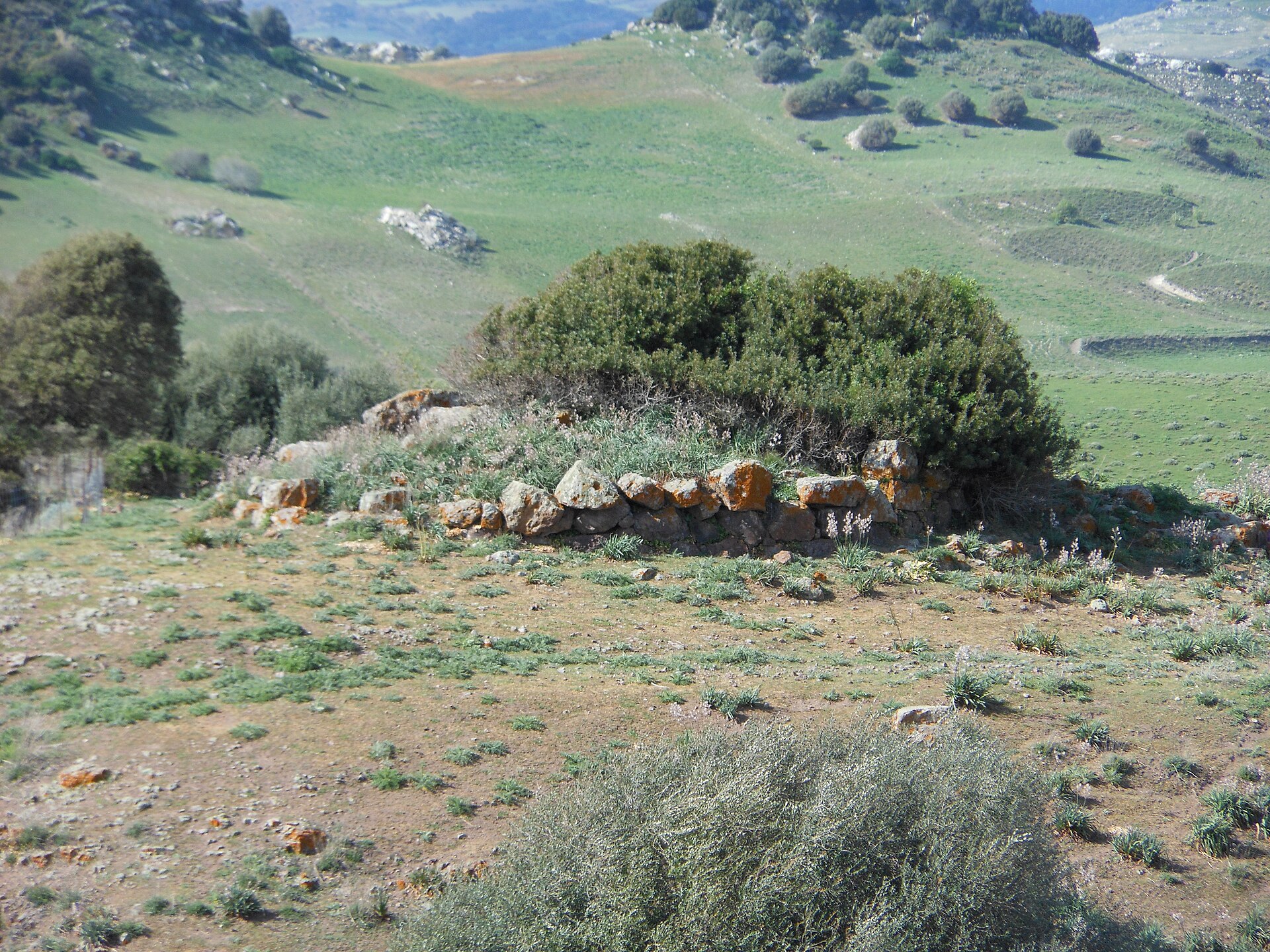 nuraghe Badde Cheja