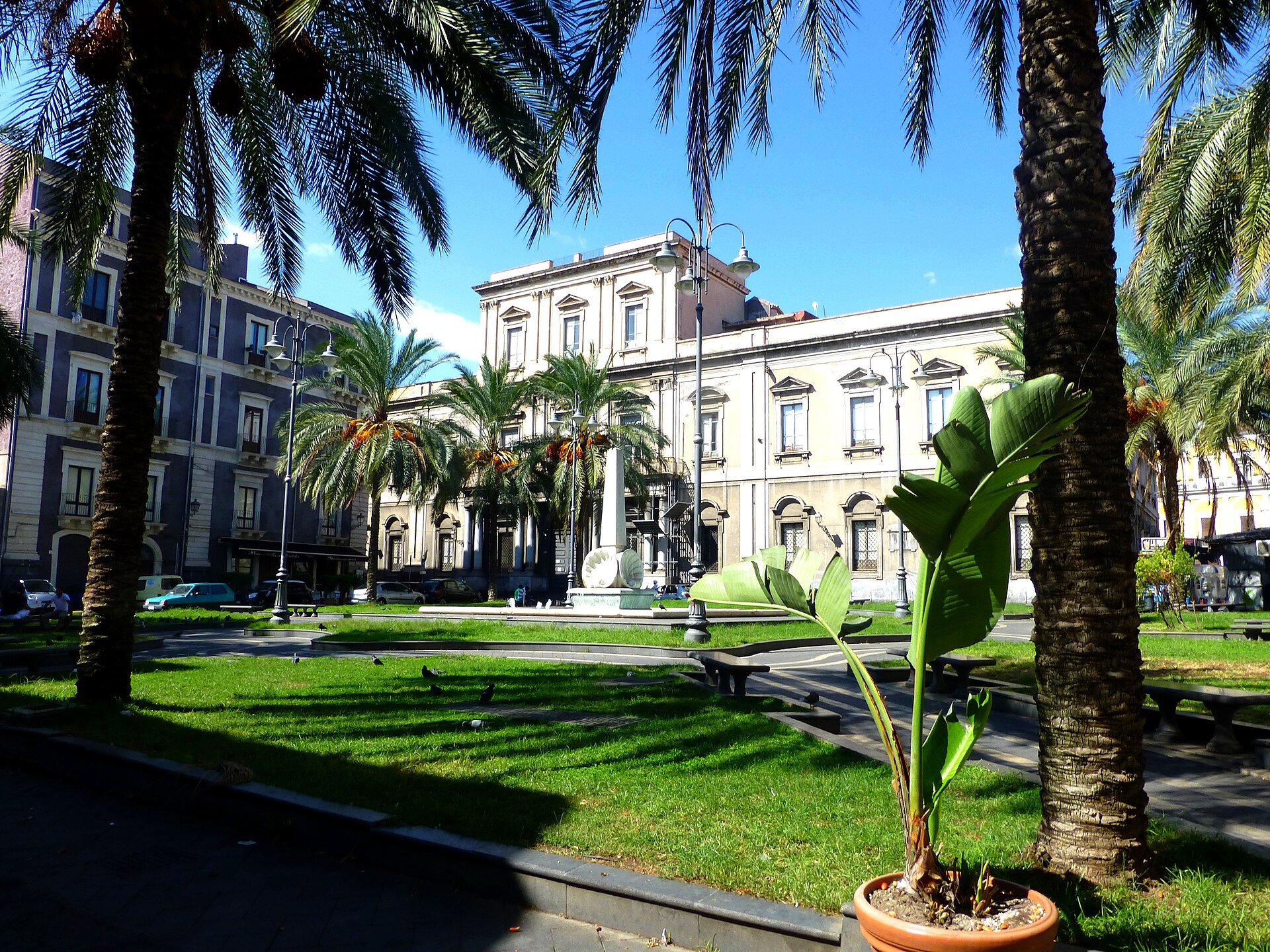 Collegio Mario Cutelli