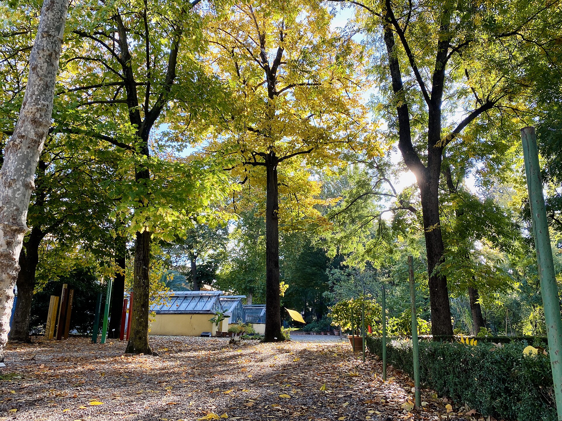 Giardino dei Semplici