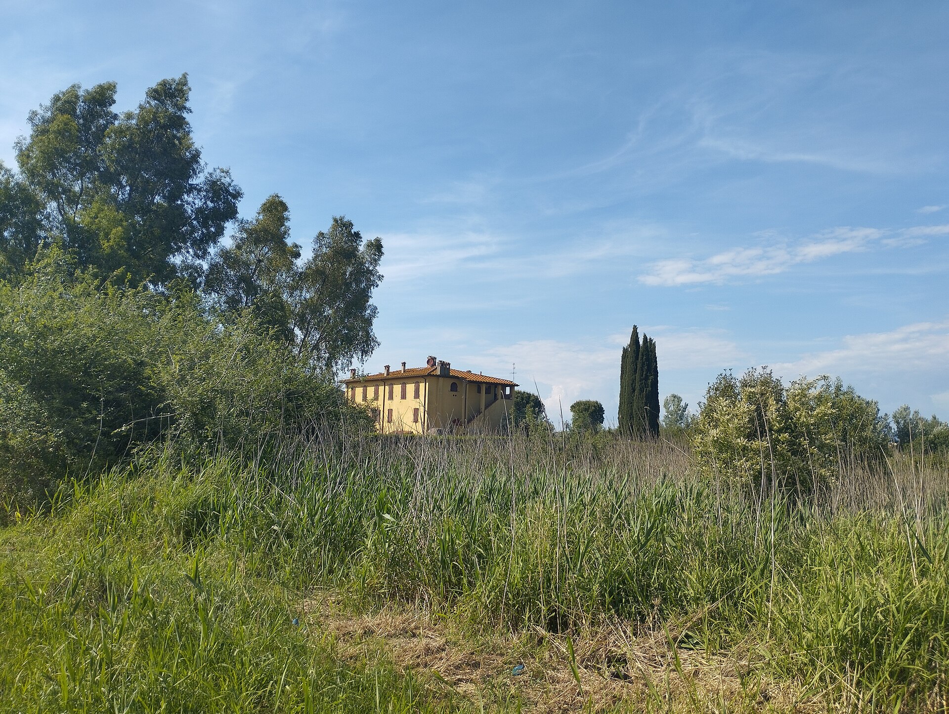 podere Vigna Fanucci