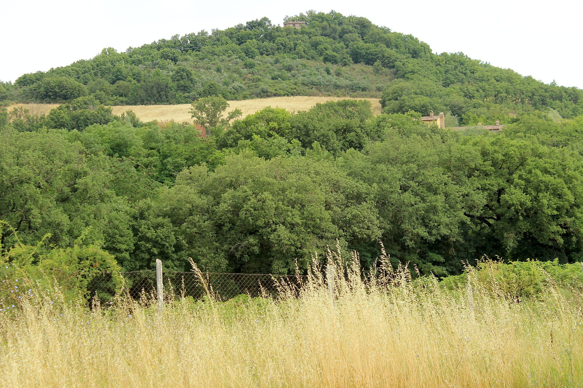 Colle Plinio