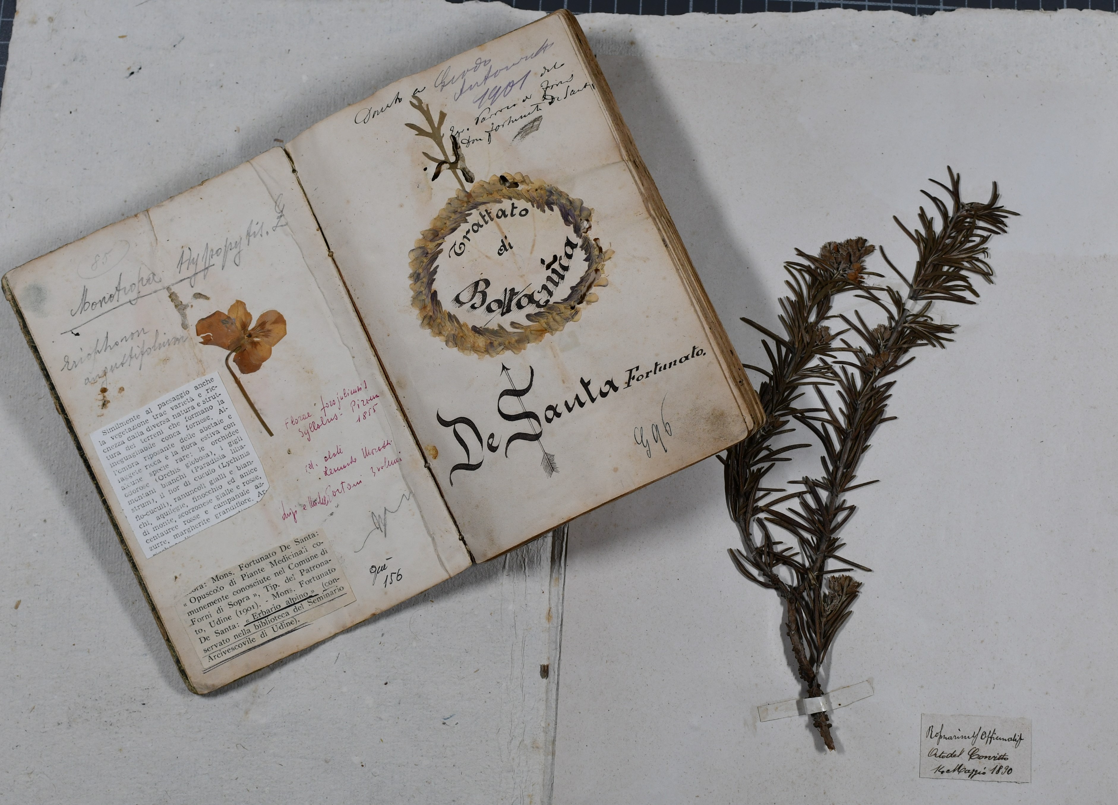 Archivio di Stato di Udine