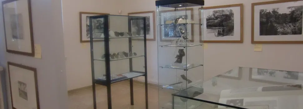 Museo "M. Valeriani" della numismatica, della medaglia, della grafica incisa e della fotografia