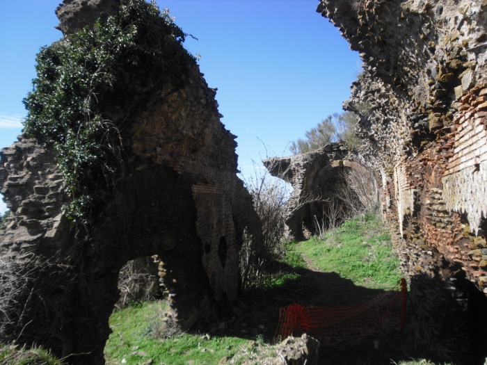 Parco archeologico culturale di Tuscolo