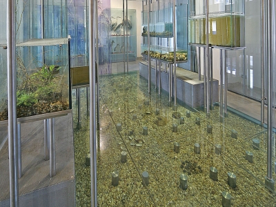 Museo del fiume di Nazzano