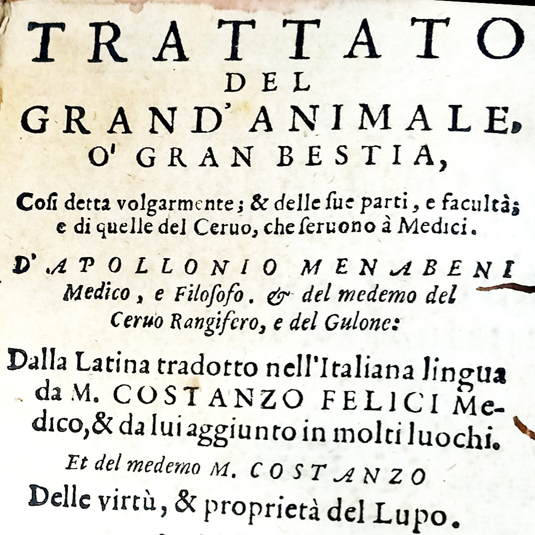Biblioteca Universitaria Alessandrina di Roma - La gran bestia nella Libraria di Francesco Maria II della Rovere