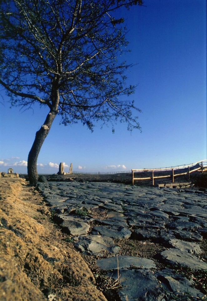 Area della città etrusco-romana di Vulci