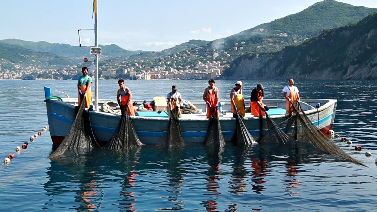 Museo della pesca