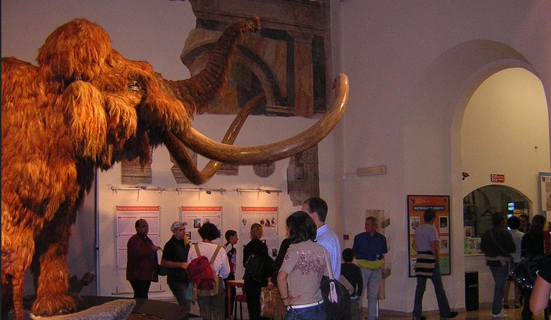 Museo civico di scienze naturali Enrico Caffi
