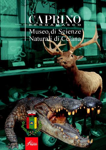 Museo di storia naturale Don Bernardino Gavazzeni