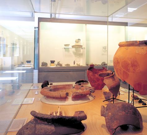 Museo civico di Manerbio e del territorio