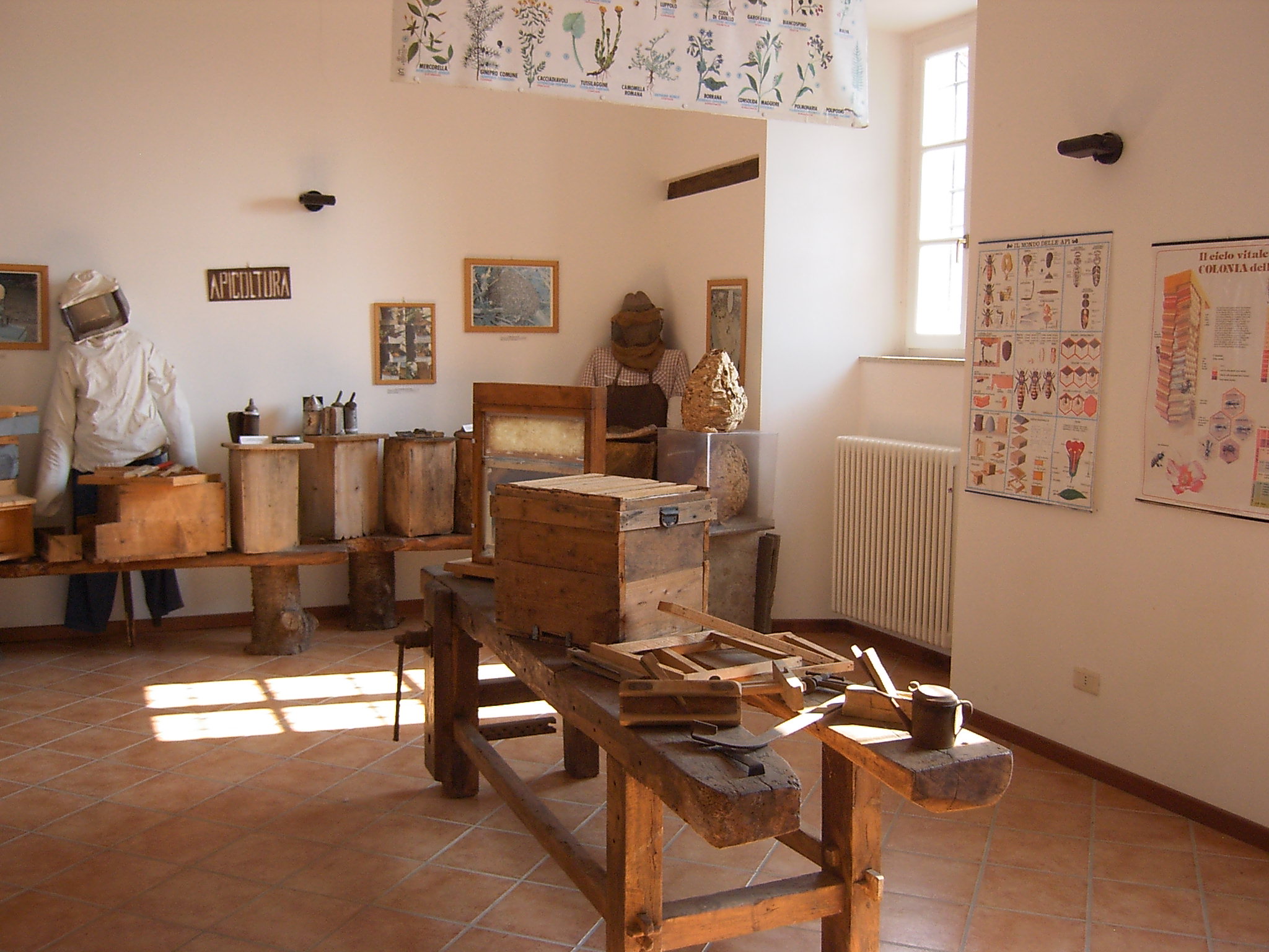 Museo delle api
